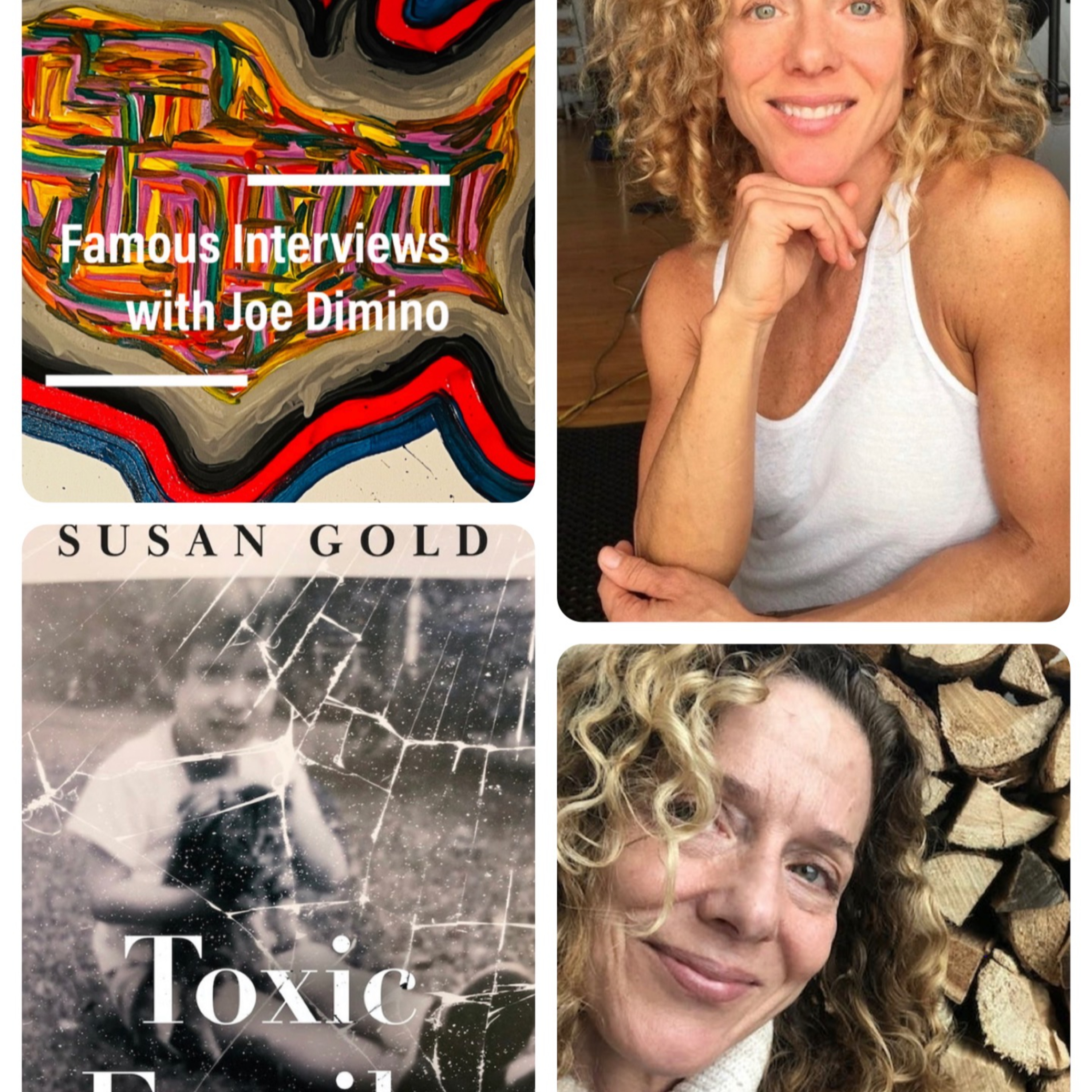 Author, Transformer & Consultant Susan Gold episode artwork