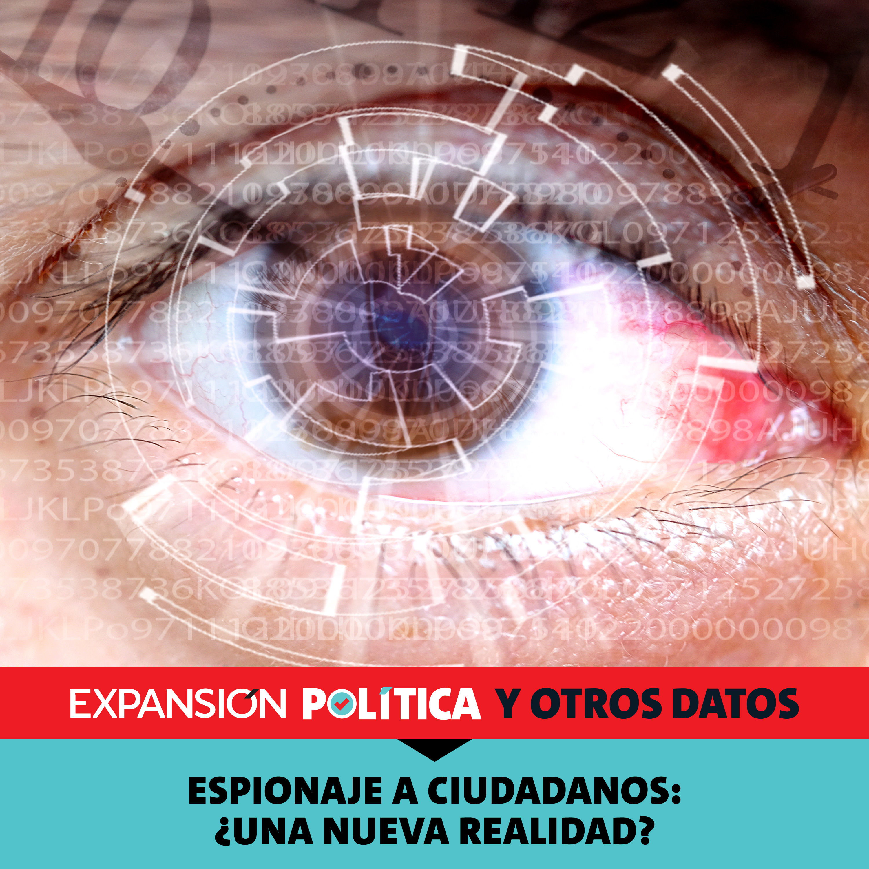 Espionaje a ciudadanos: ¿una nueva realidad? | Episodio 210