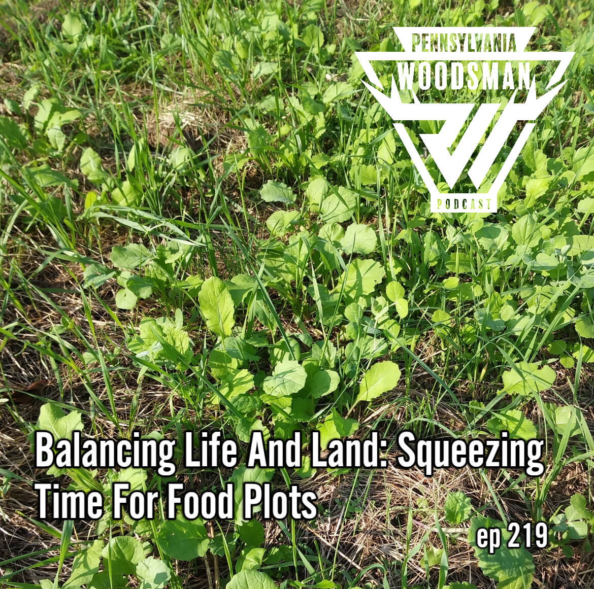 Pennsylvania Woodsman - Balancing Life and Land: Squeezing Time for Food Plots