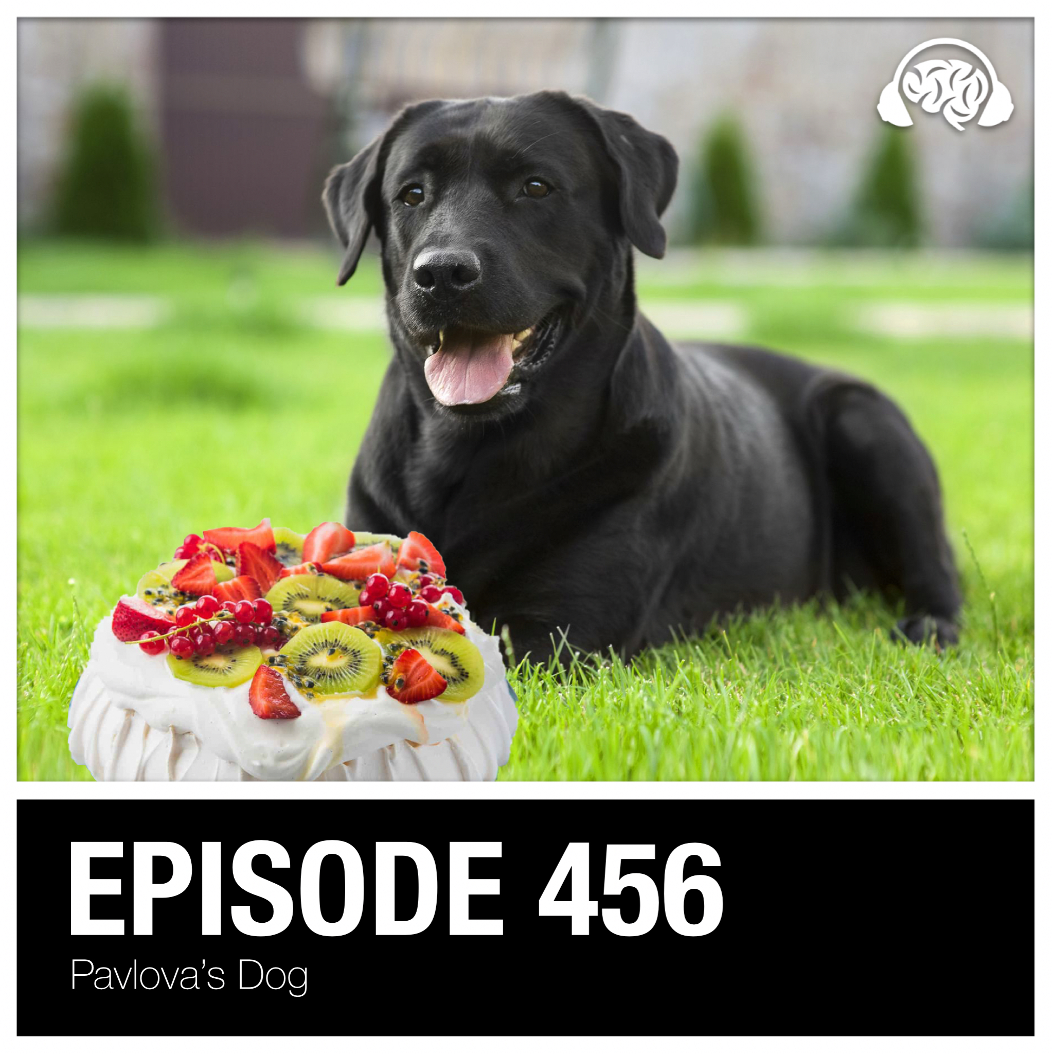 456: Pavlova’s Dog