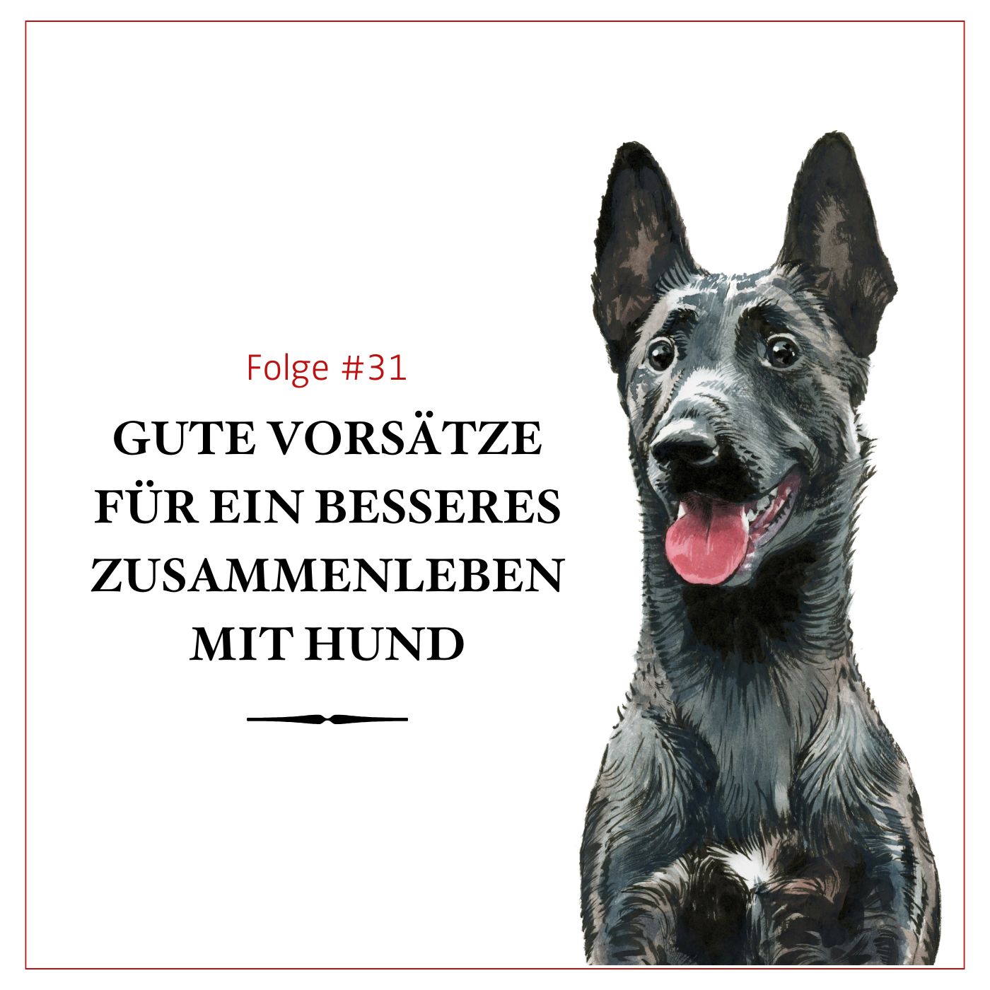 Gute Vorsätze für ein bereicherndes Leben mit Hund - #31