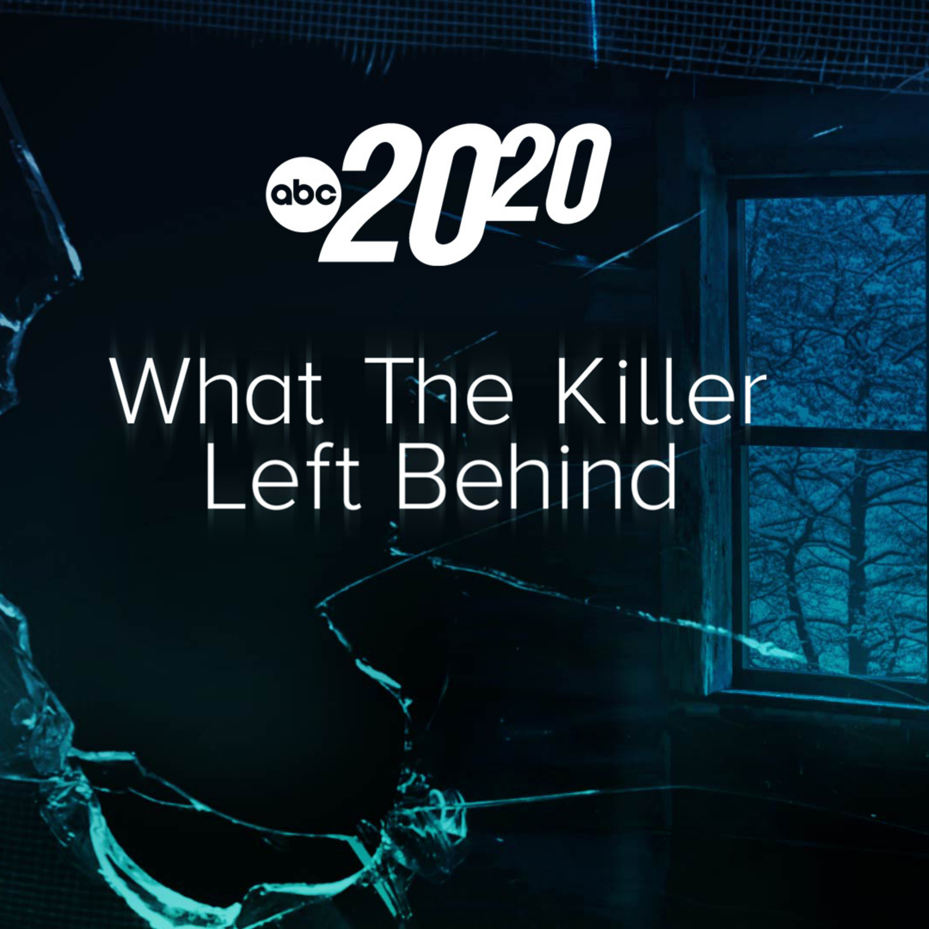 What The Killer Left Behind