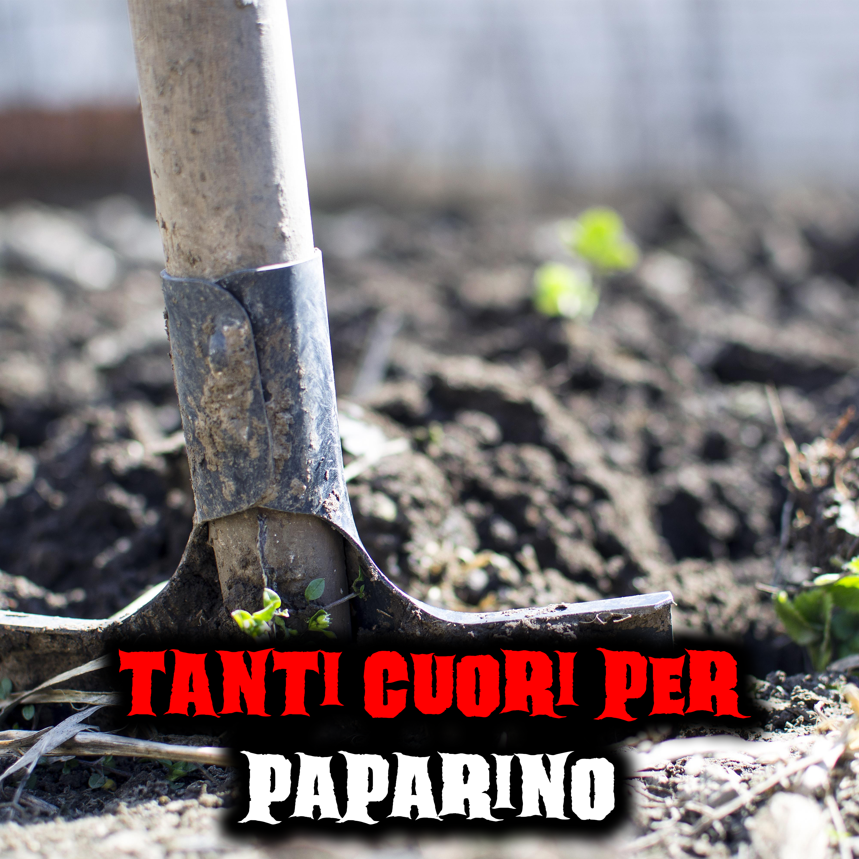 La Notte delle Creepypasta