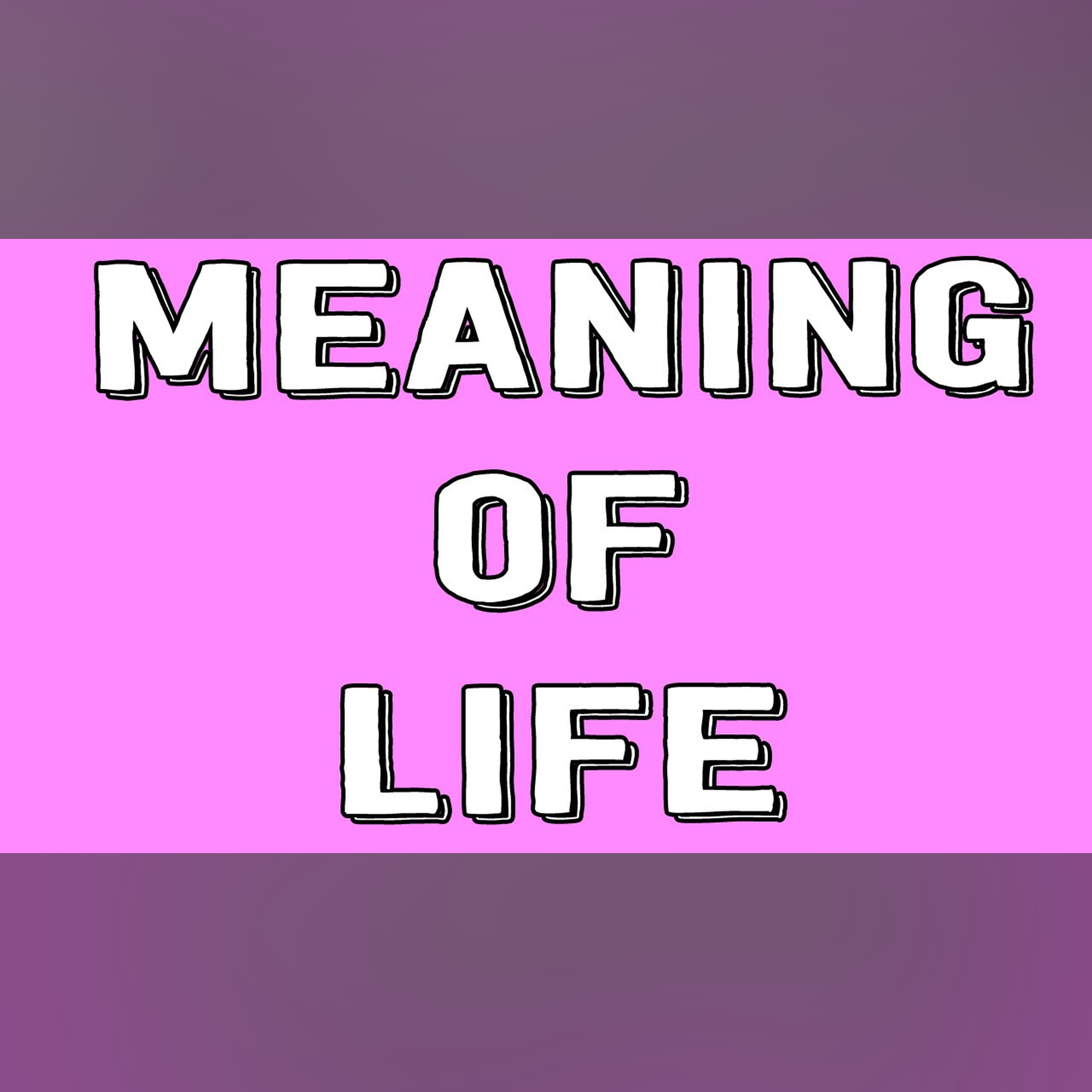 Meaning of Life! episode artwork