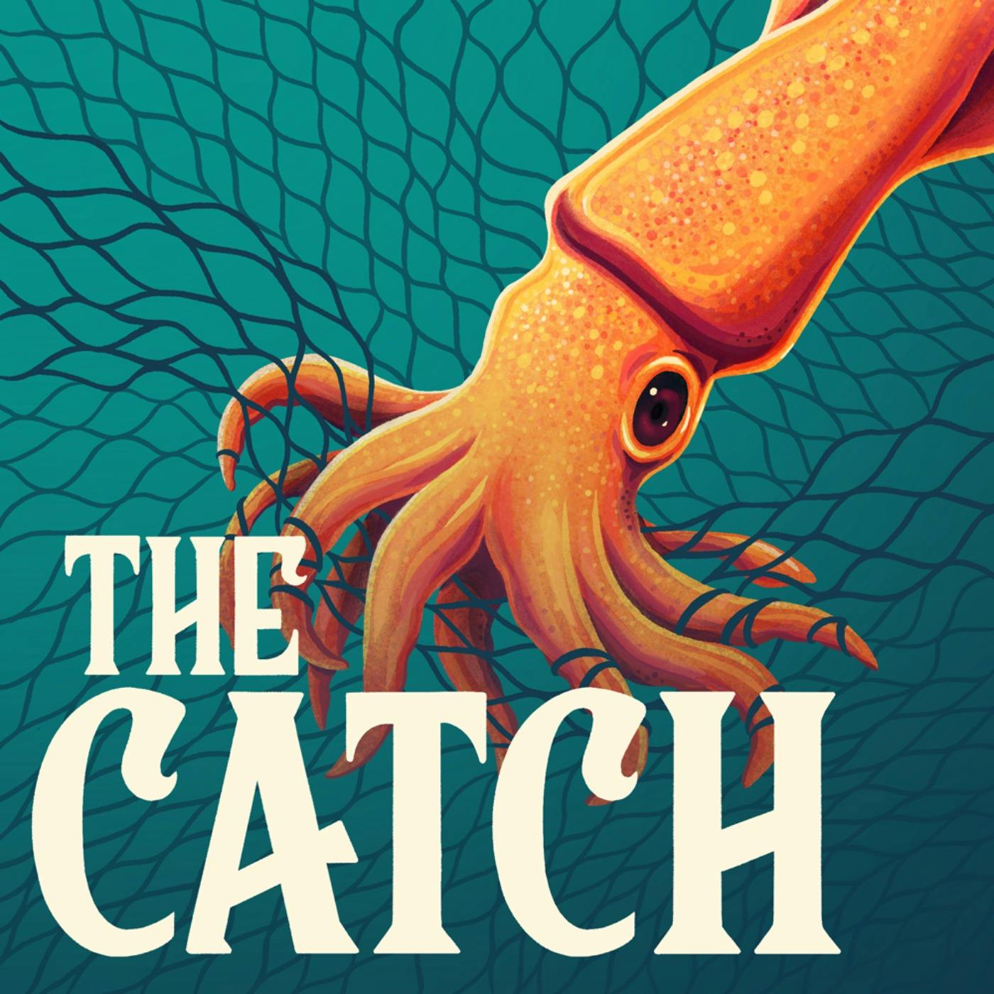 The Catch podcast show image
