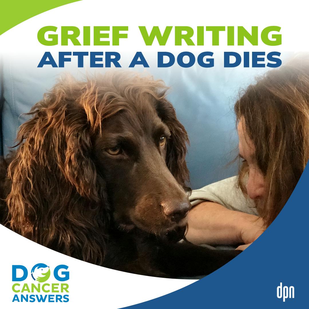 Grief Writing After a Dog Dies | Sheila Cooperman #240
