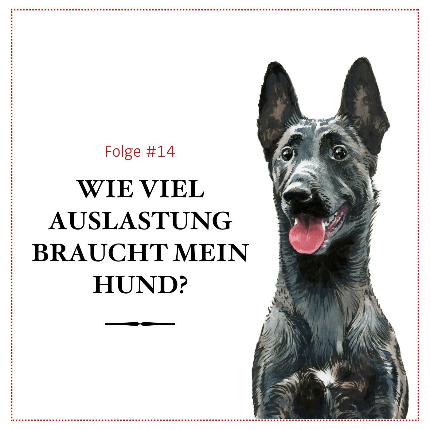 Wie viel Auslastung braucht mein Hund? - #14