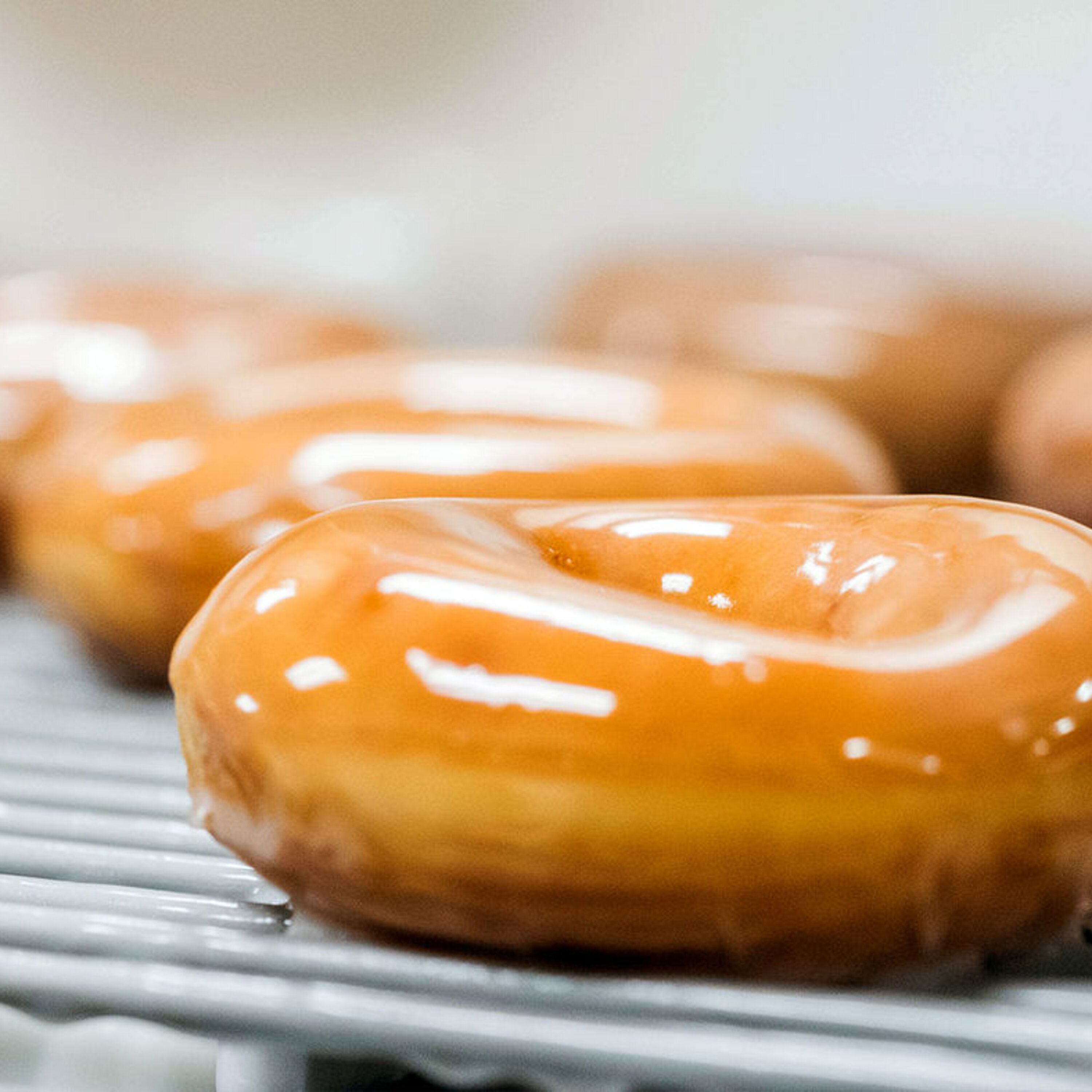 Pollution from pot plants, and how our bodies perceive processed foods