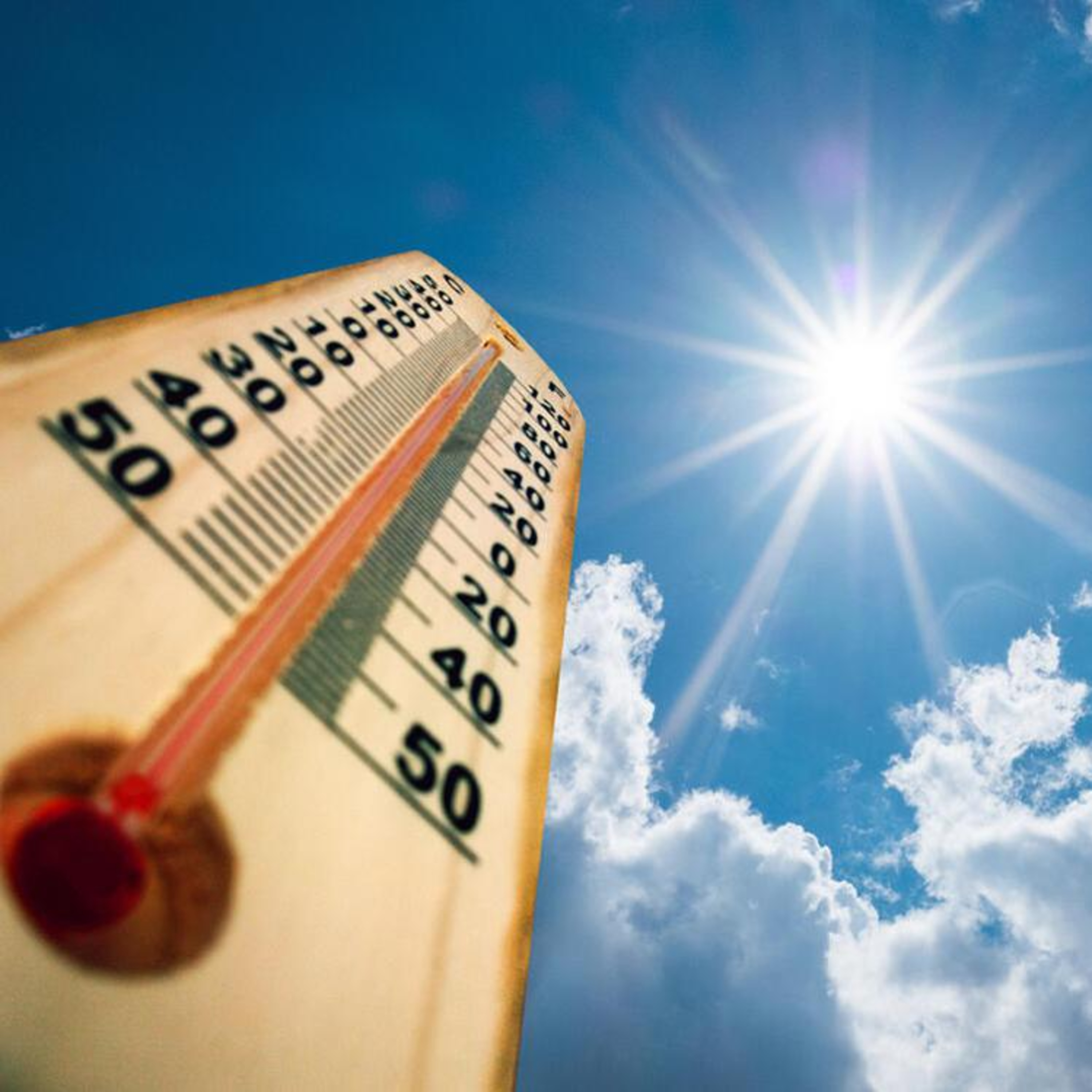 Heatwave building across India, Pakistan episode artwork