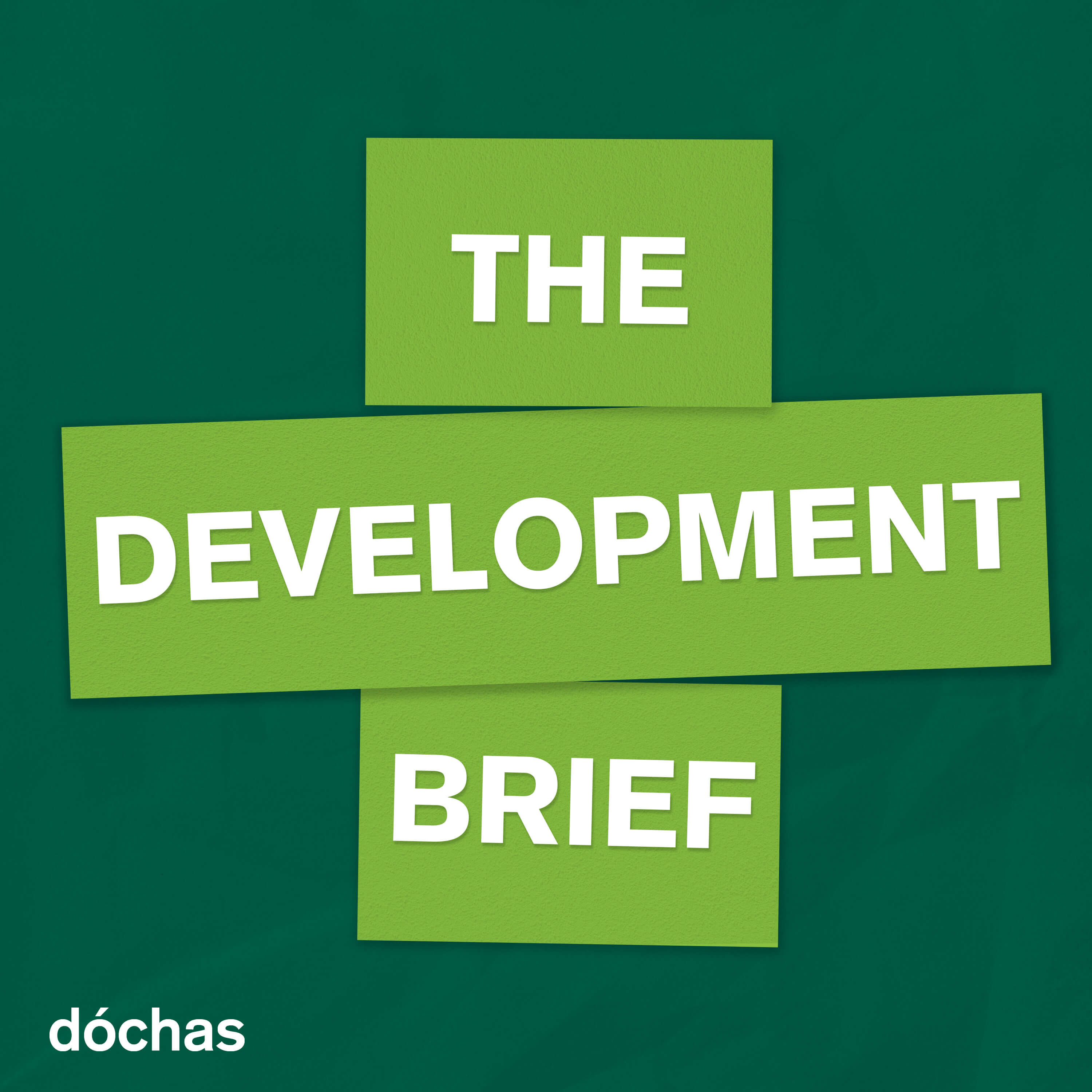 The Development Brief cover art