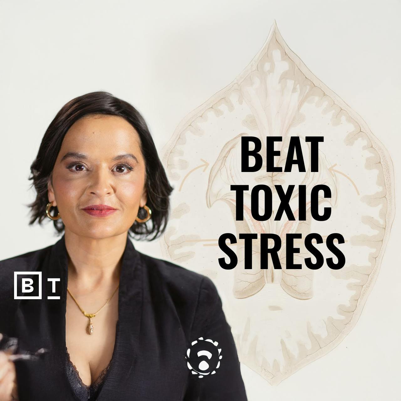 Harvard’s stress expert on how to be more resilient | Dr. Aditi Nerurkar Harvard’s stress expert on how to be more resilient | Dr. Aditi Nerurkar