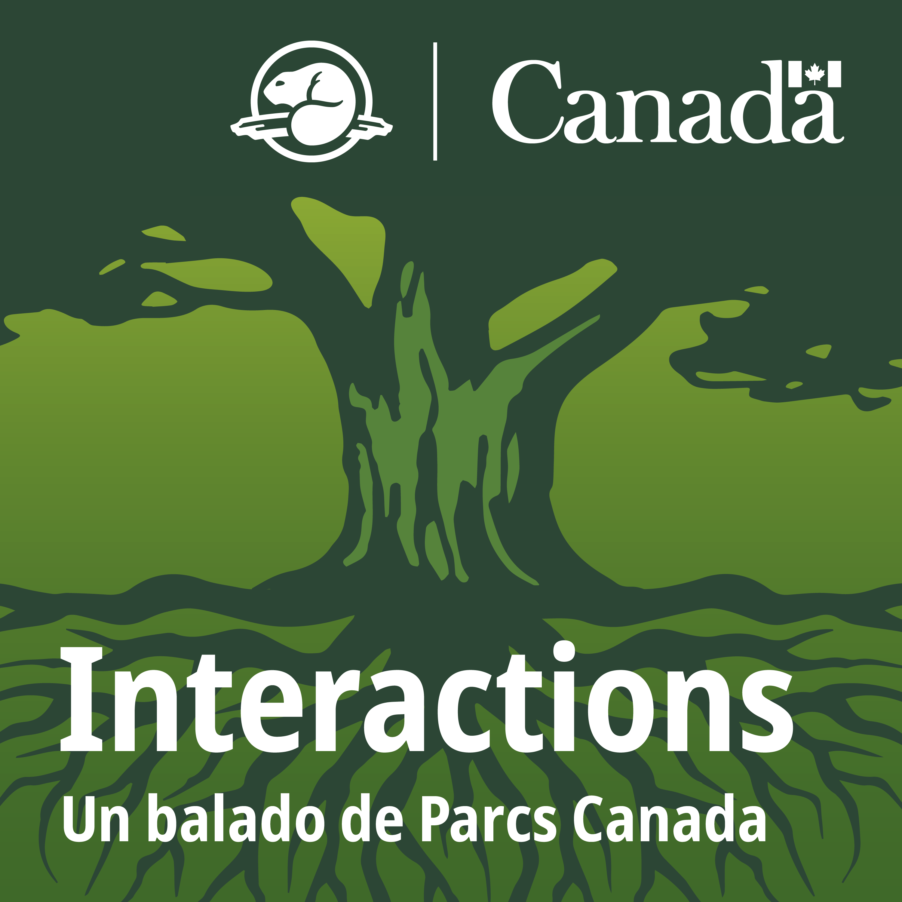 Interactions