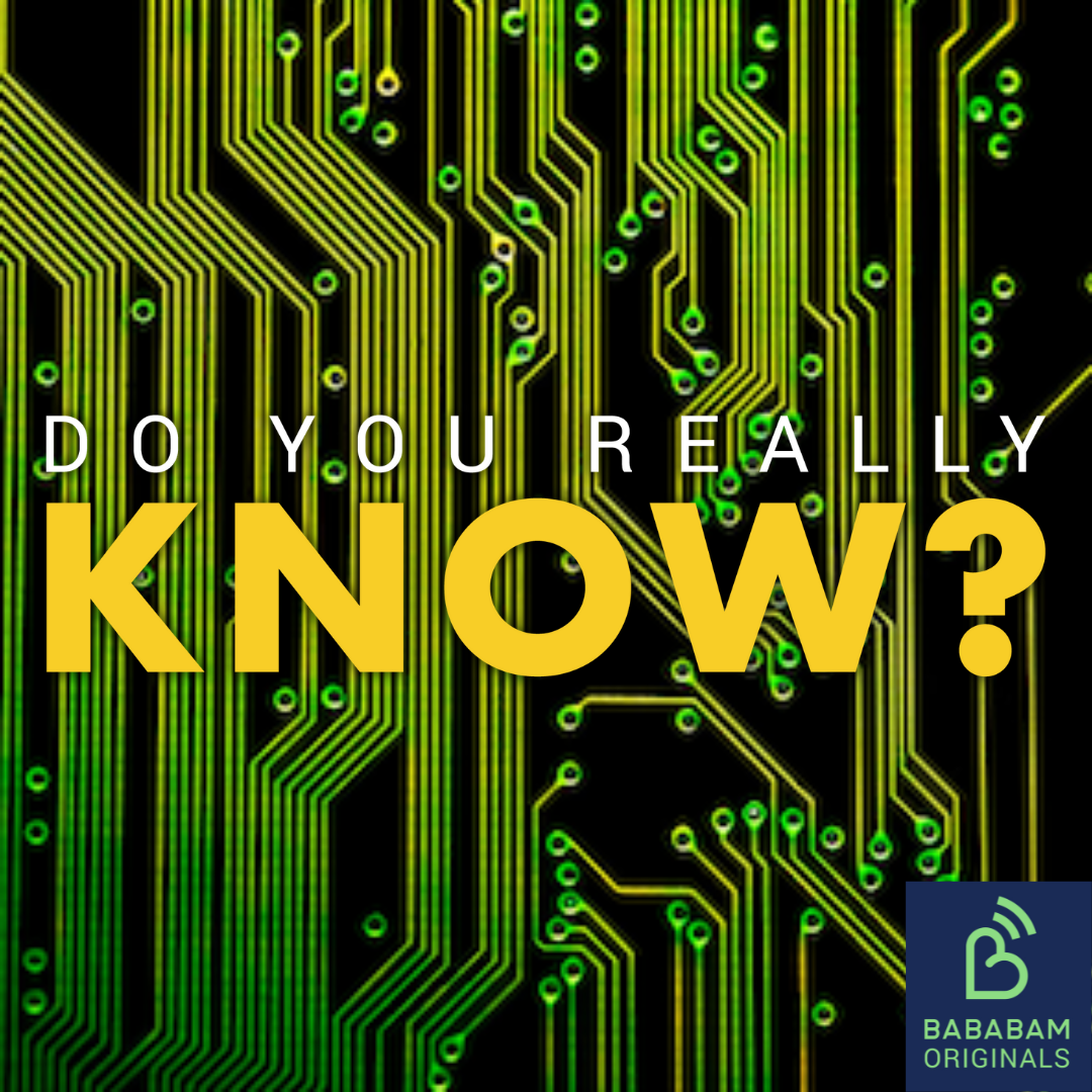 What is digital sobriety?