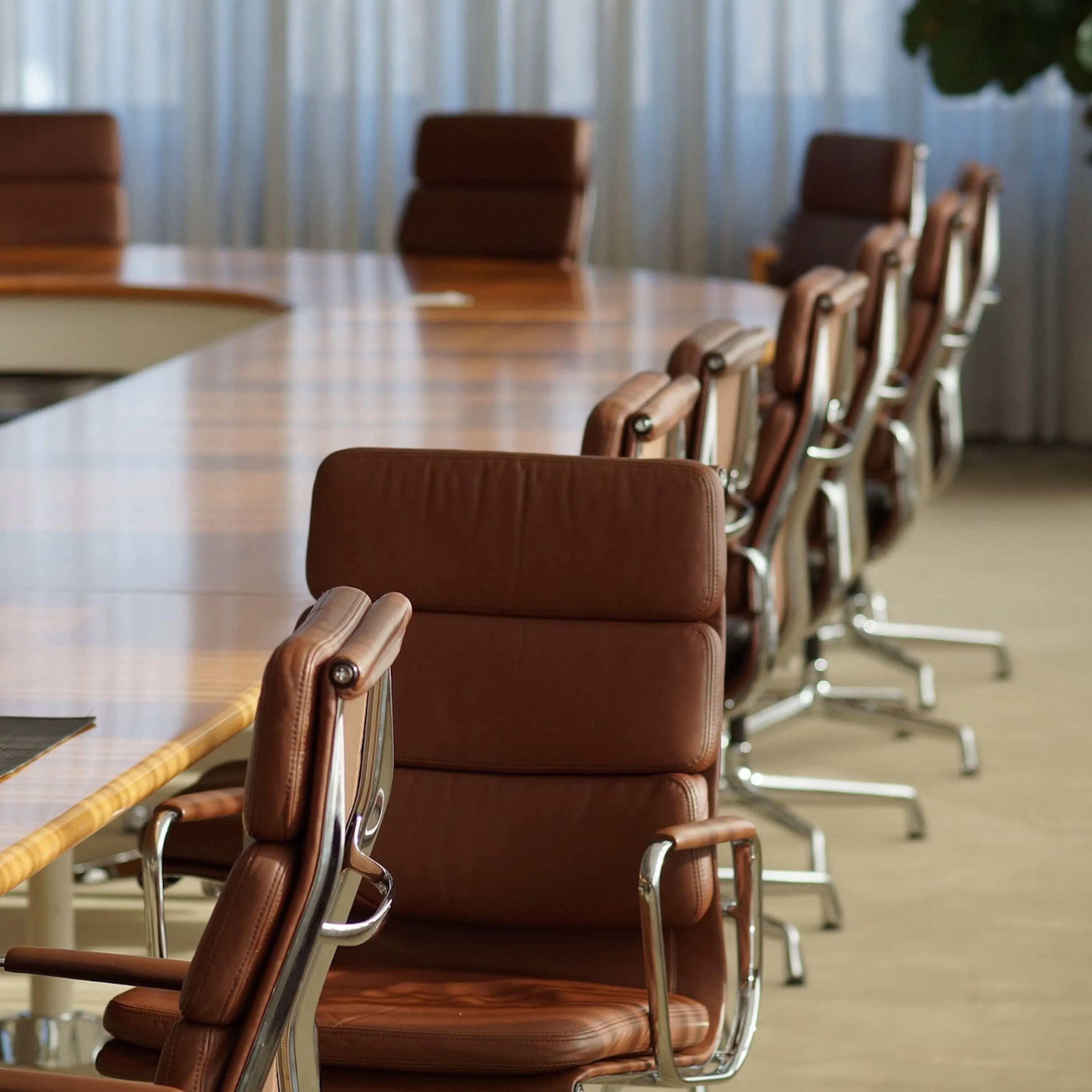 Qu'est-ce que le Conseil de défense ?