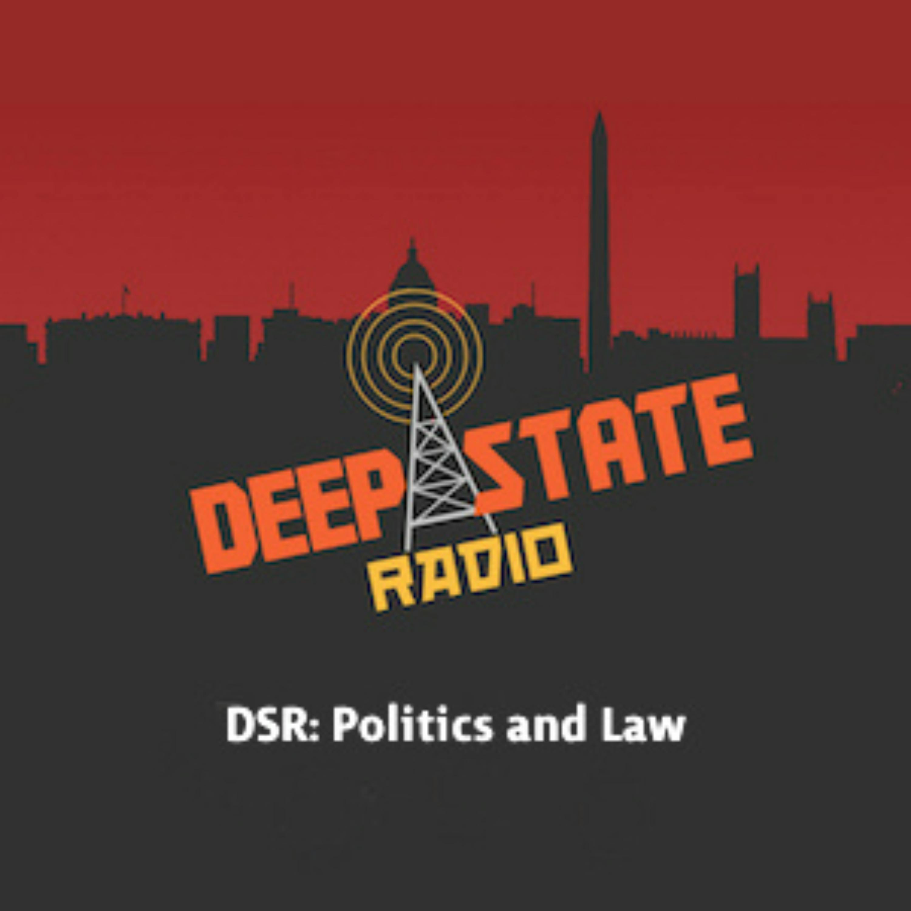 DSR: Politics and Law