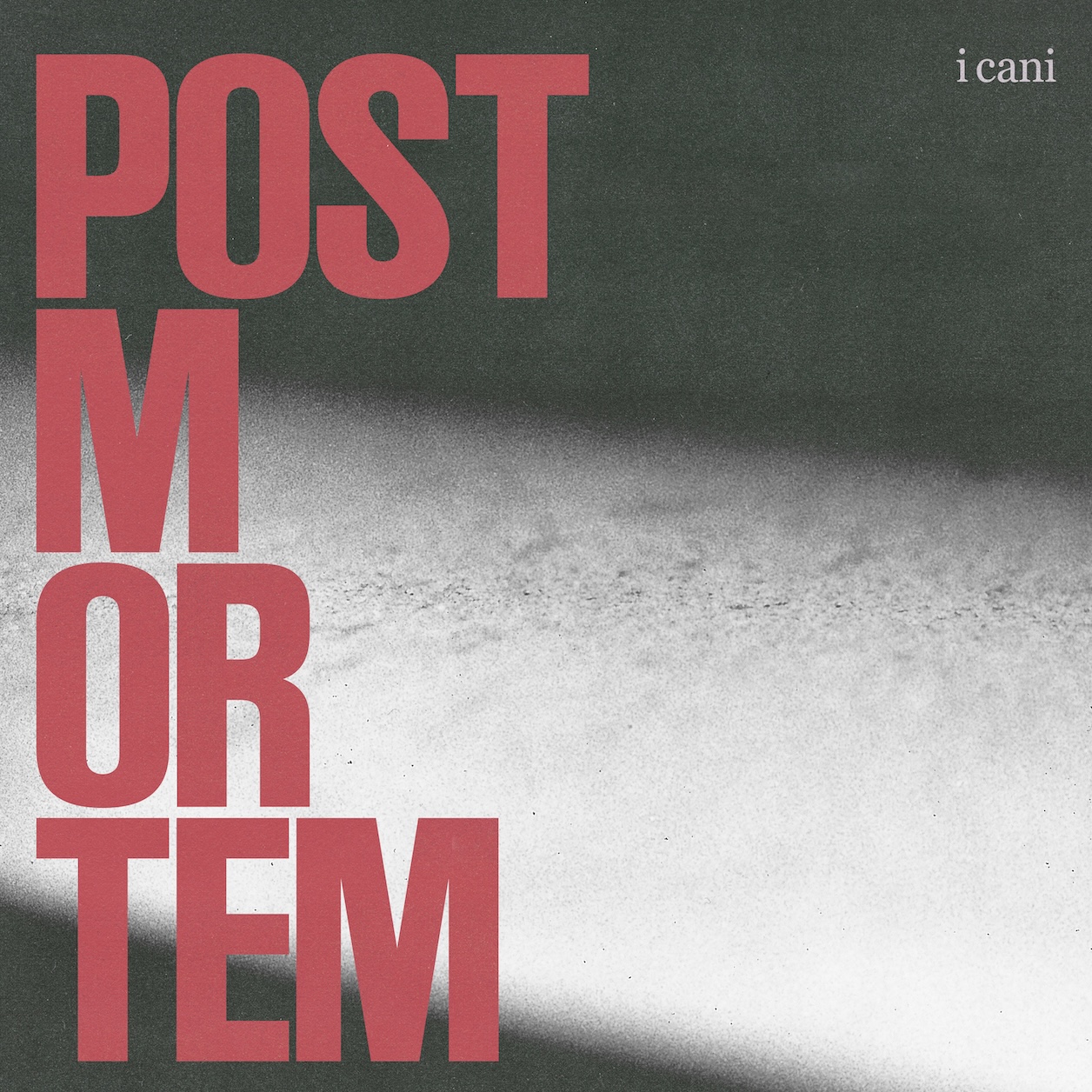 POST MORTEM - I Cani episode artwork