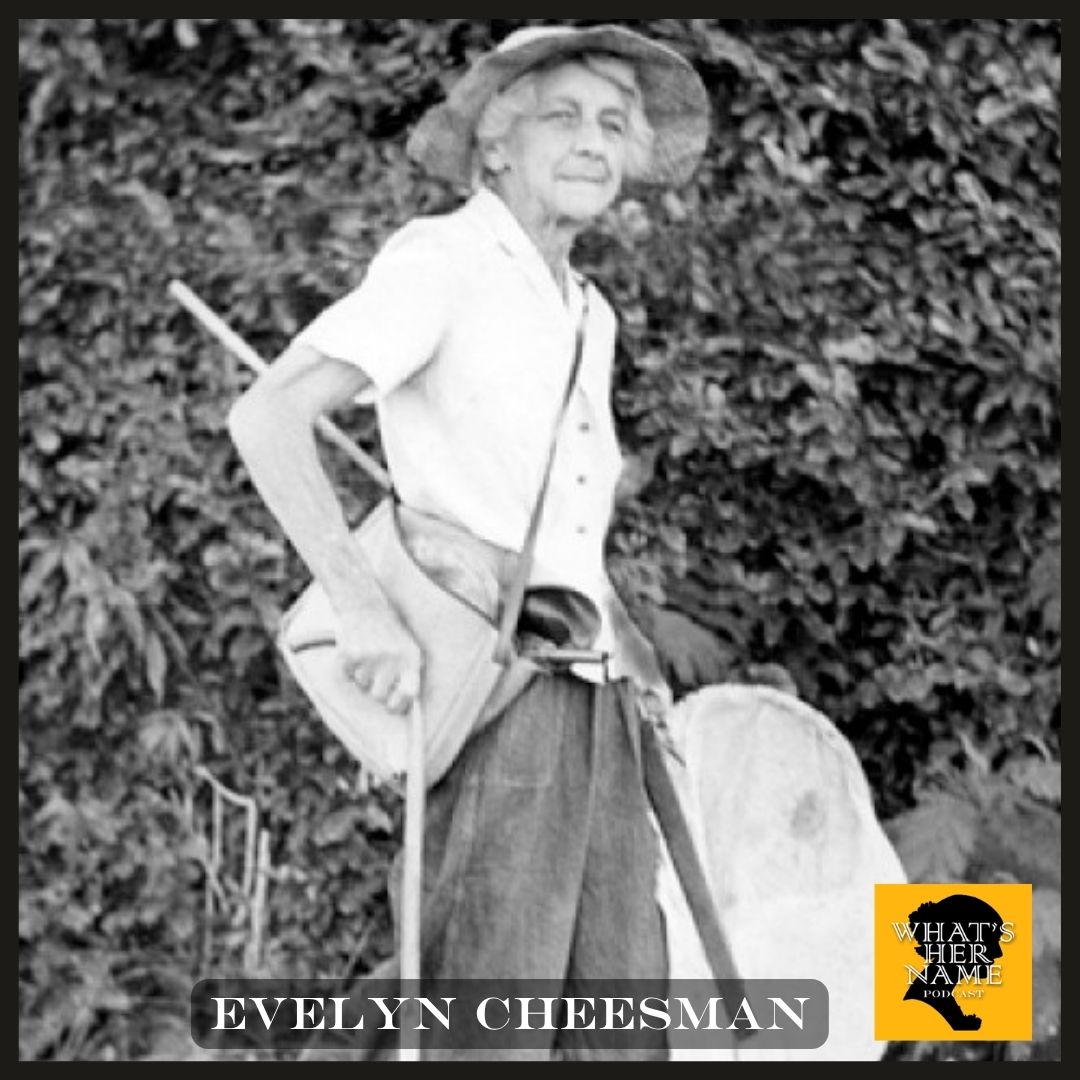 THE ENTOMOLOGIST Evelyn Cheesman