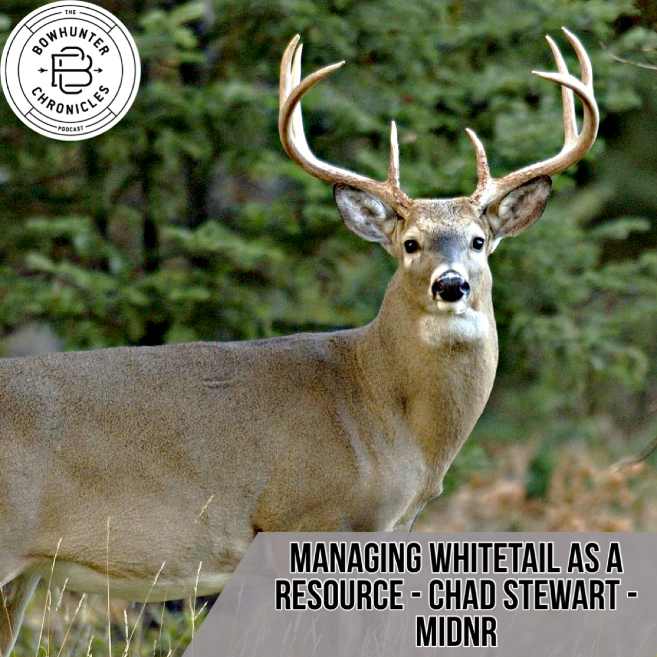 Bowhunter Chronicles Podcast