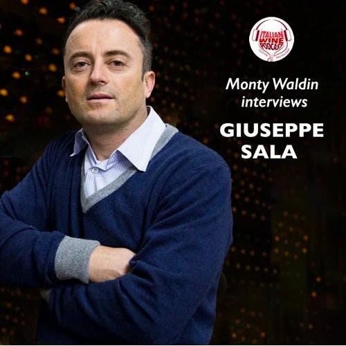 Ep. 510 Giuseppe Sala from I Selvatici Winery | Monty Waldin Interviews