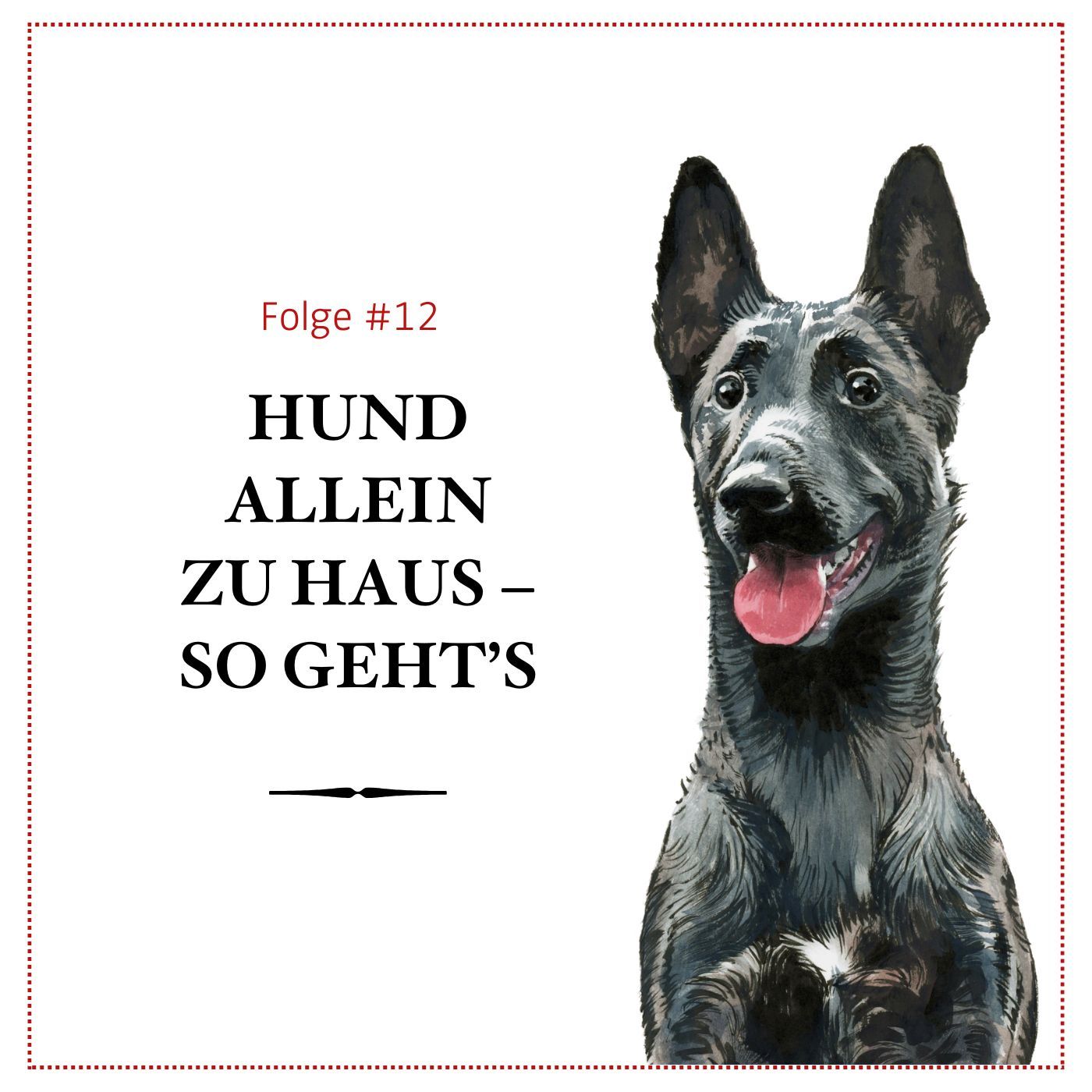 Hund alleine zu Hause lassen: So funktioniert's – #12