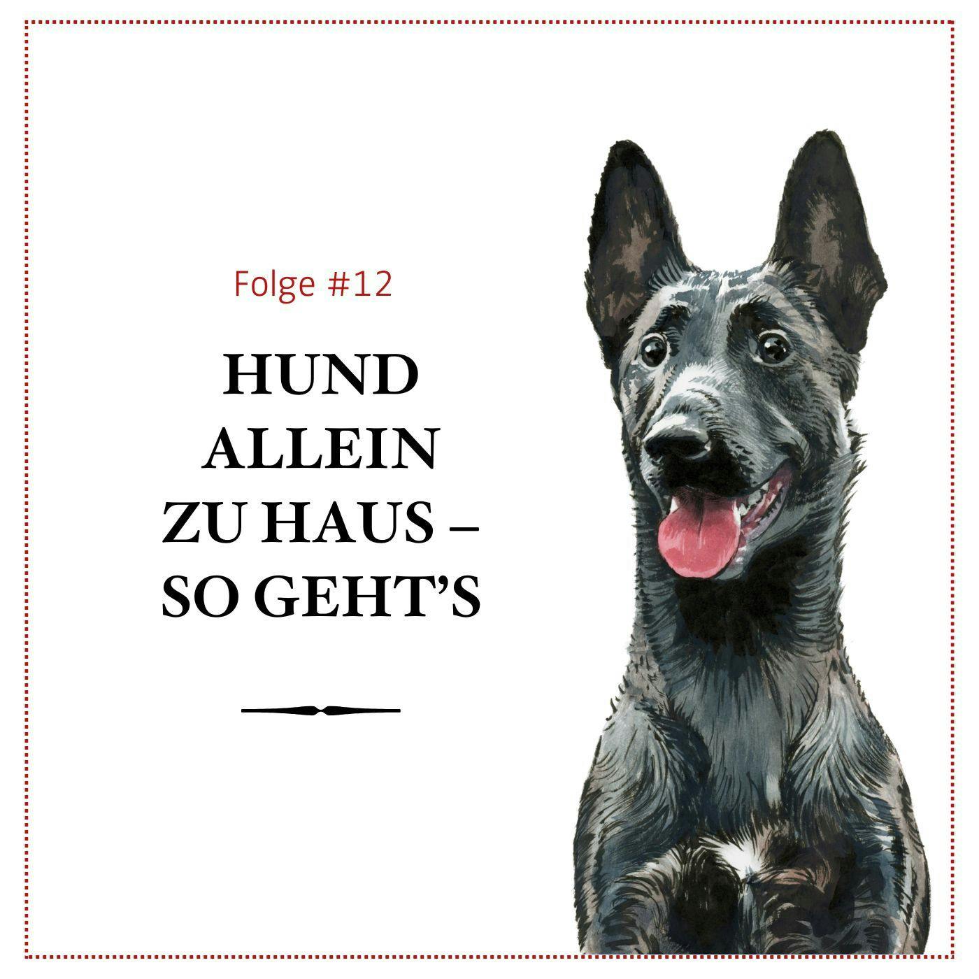 Hund alleine zu Hause lassen: So funktioniert's – #12 Hund alleine zu Hause lassen: So funktioniert's – #12