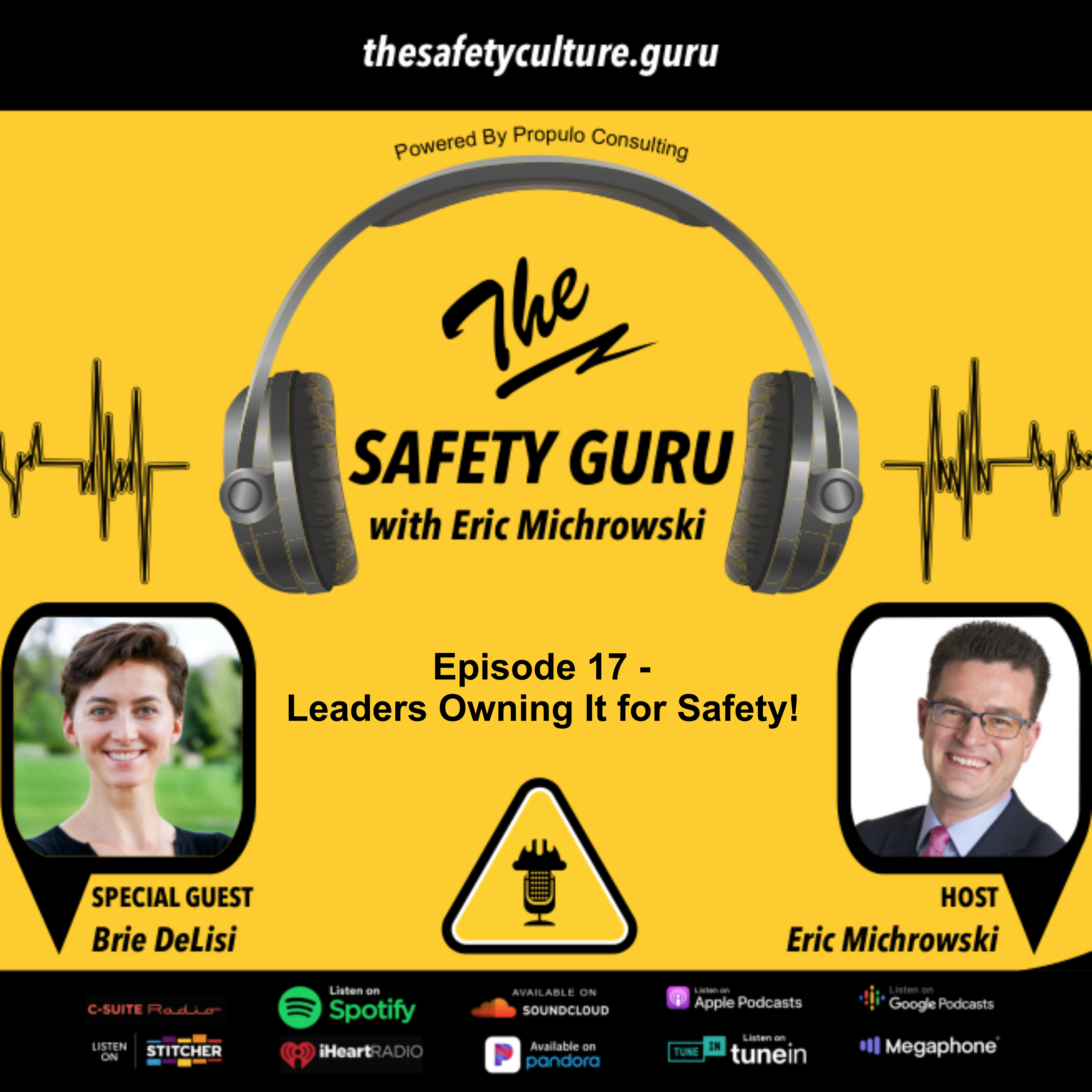 The Safety Guru