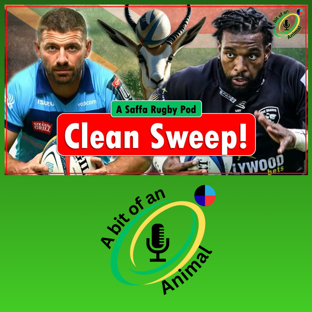 Boks with avengence | South African Rugby Podcast