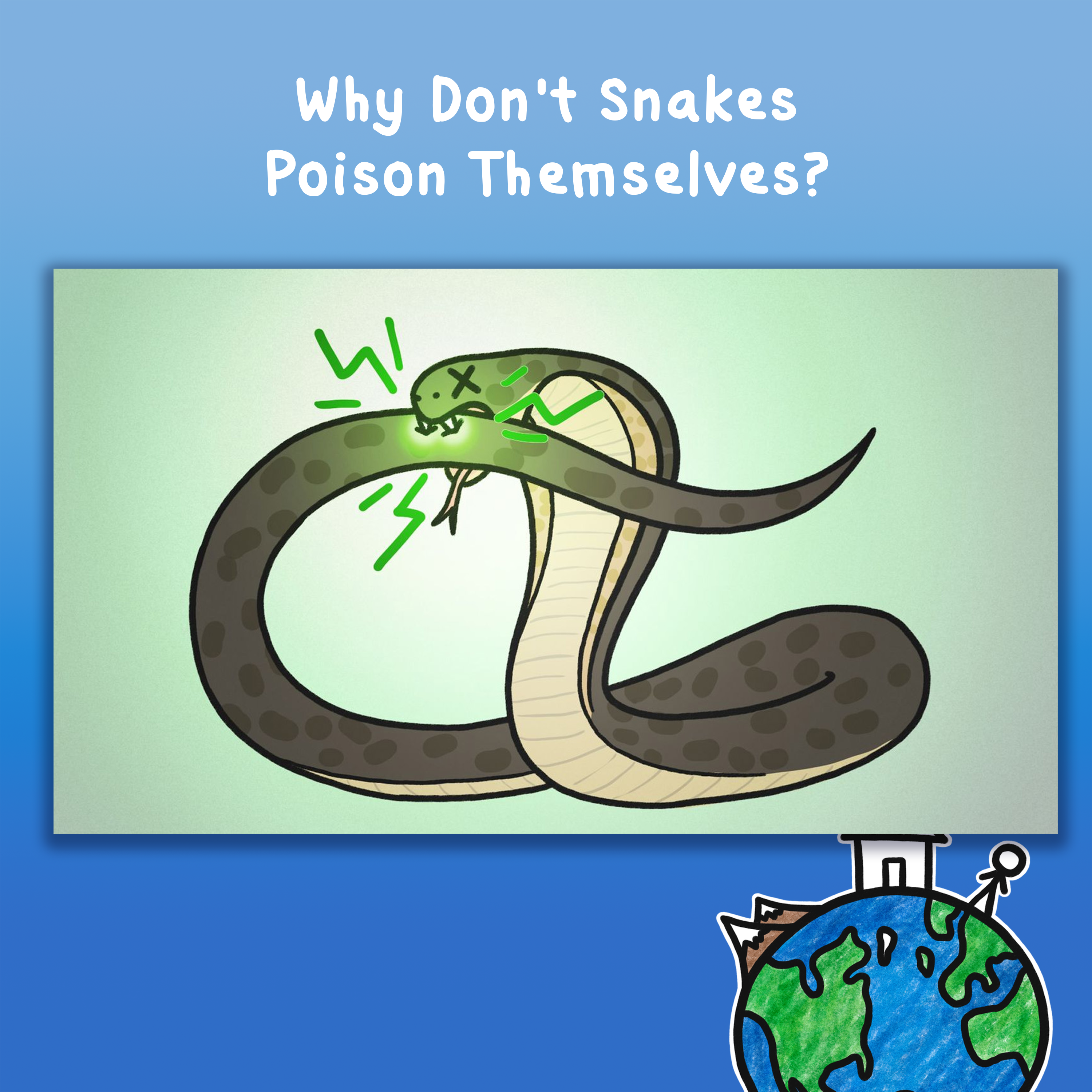 Why Don't Snakes Poison Themselves?