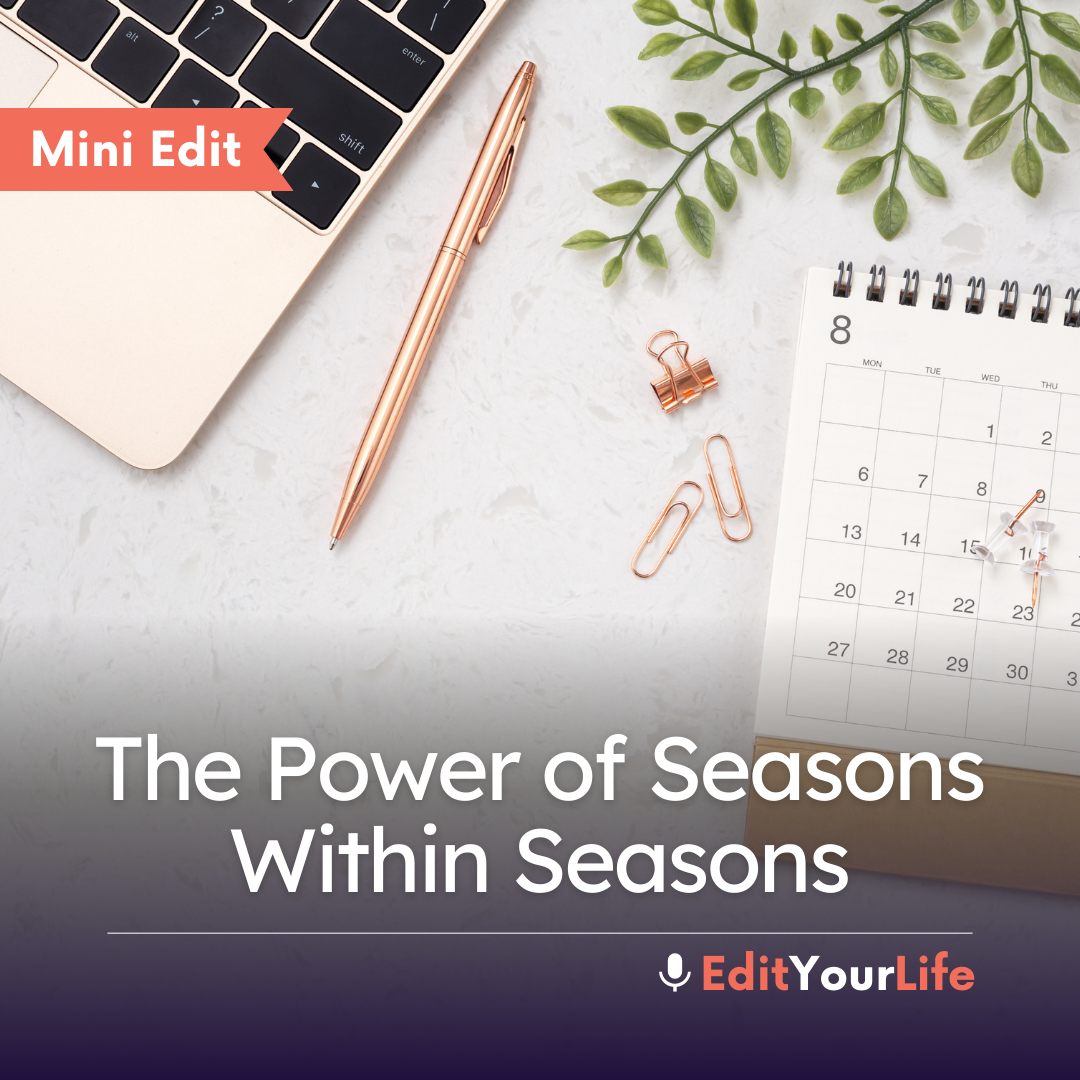 Mini Edit: The Power of Seasons Within Seasons episode artwork