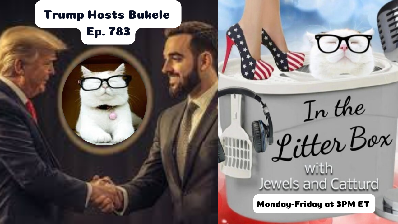 Trump Hosts Bukele | In the Litter Box w/ Jewels & Catturd – Ep. 783 – 4/14/2025