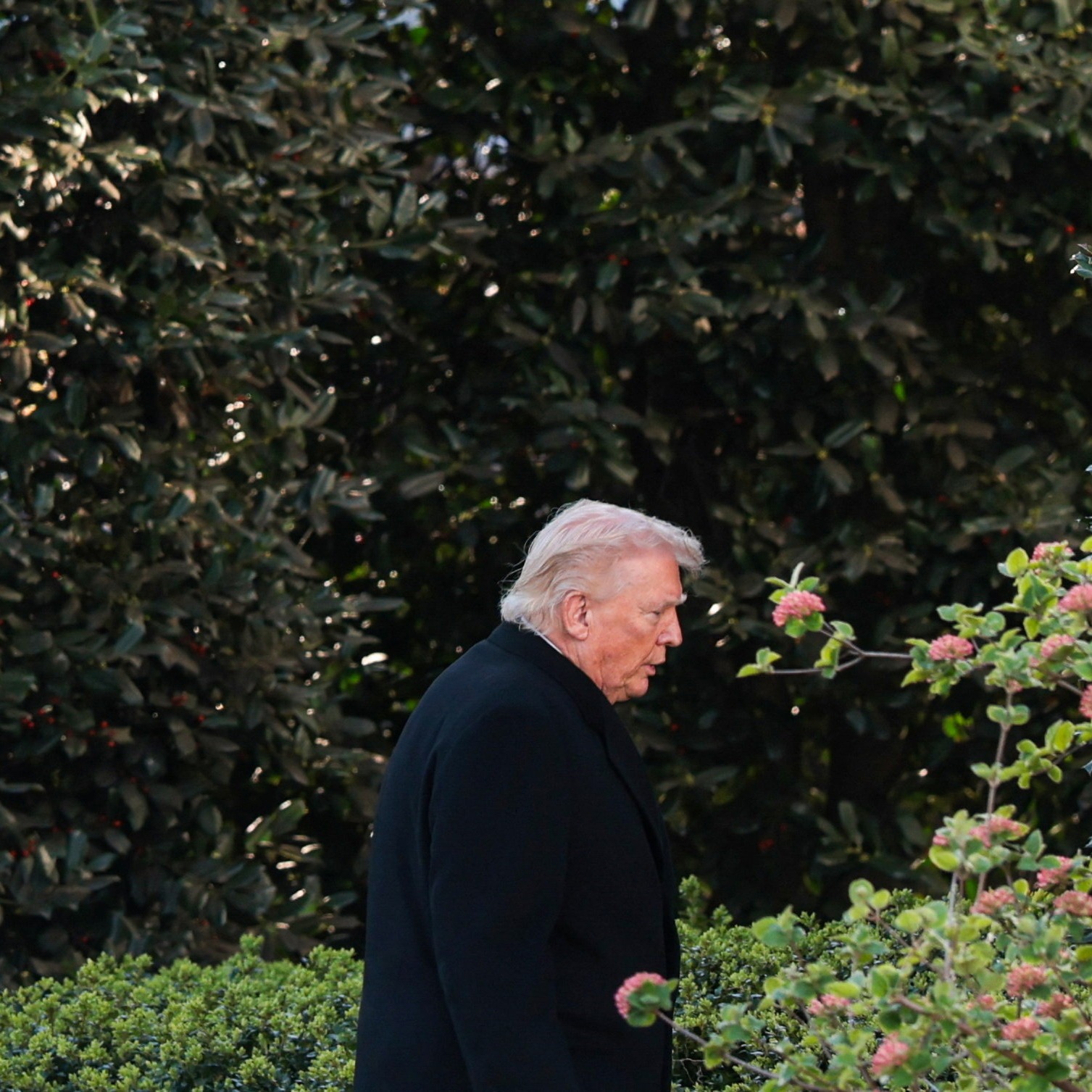 Trump postpones Iran energy strikes, LaGuardia and France elections