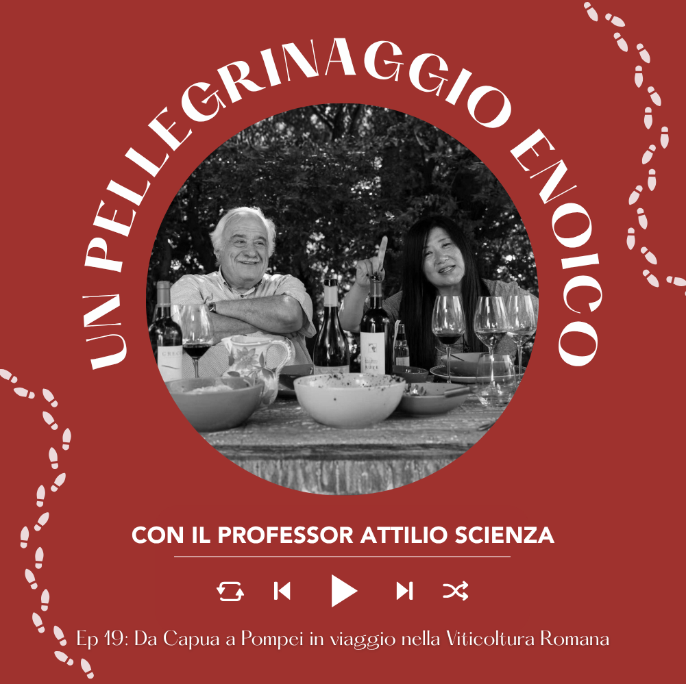Ep. 2707 Ep. 19: Da Capua a Pompei in viaggio nella viticoltura romana | Pellegrinaggio Enoico con Attilio Scienza