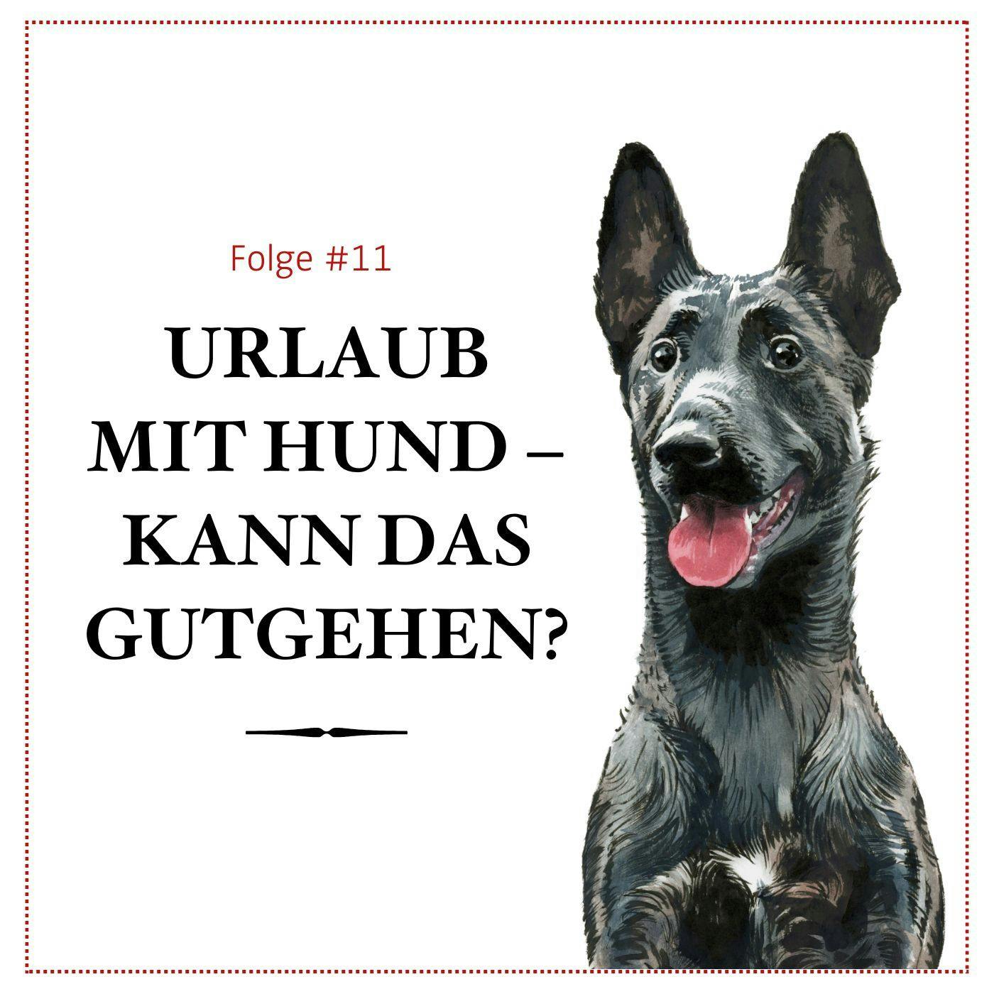 Urlaub mit Hund – ja oder nein? - #11 Urlaub mit Hund – ja oder nein? - #11
