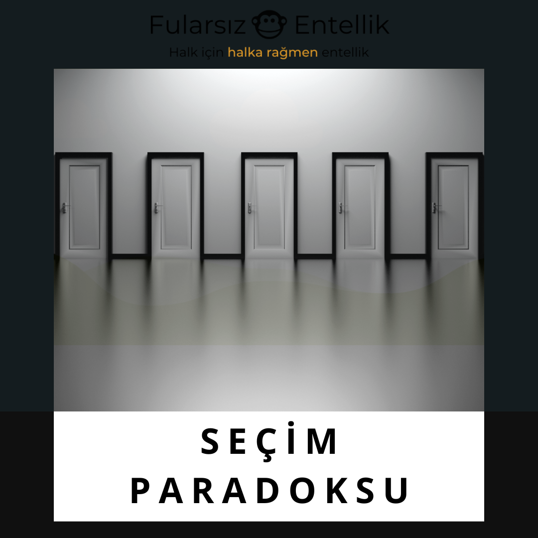 Seçim Paradoksu