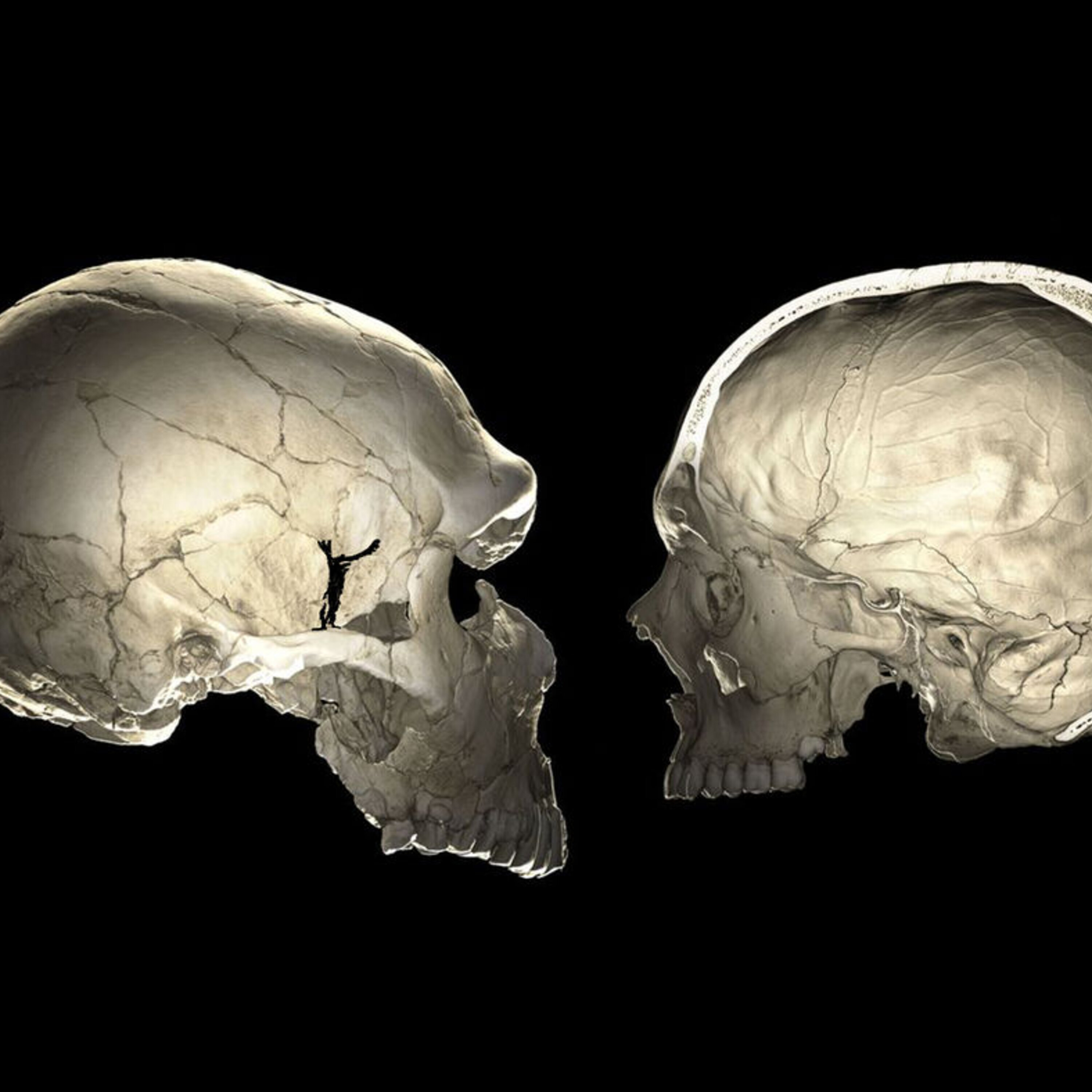 ‘The Tragedy of the Commons’ turns 50, and how Neanderthal DNA could change your skull