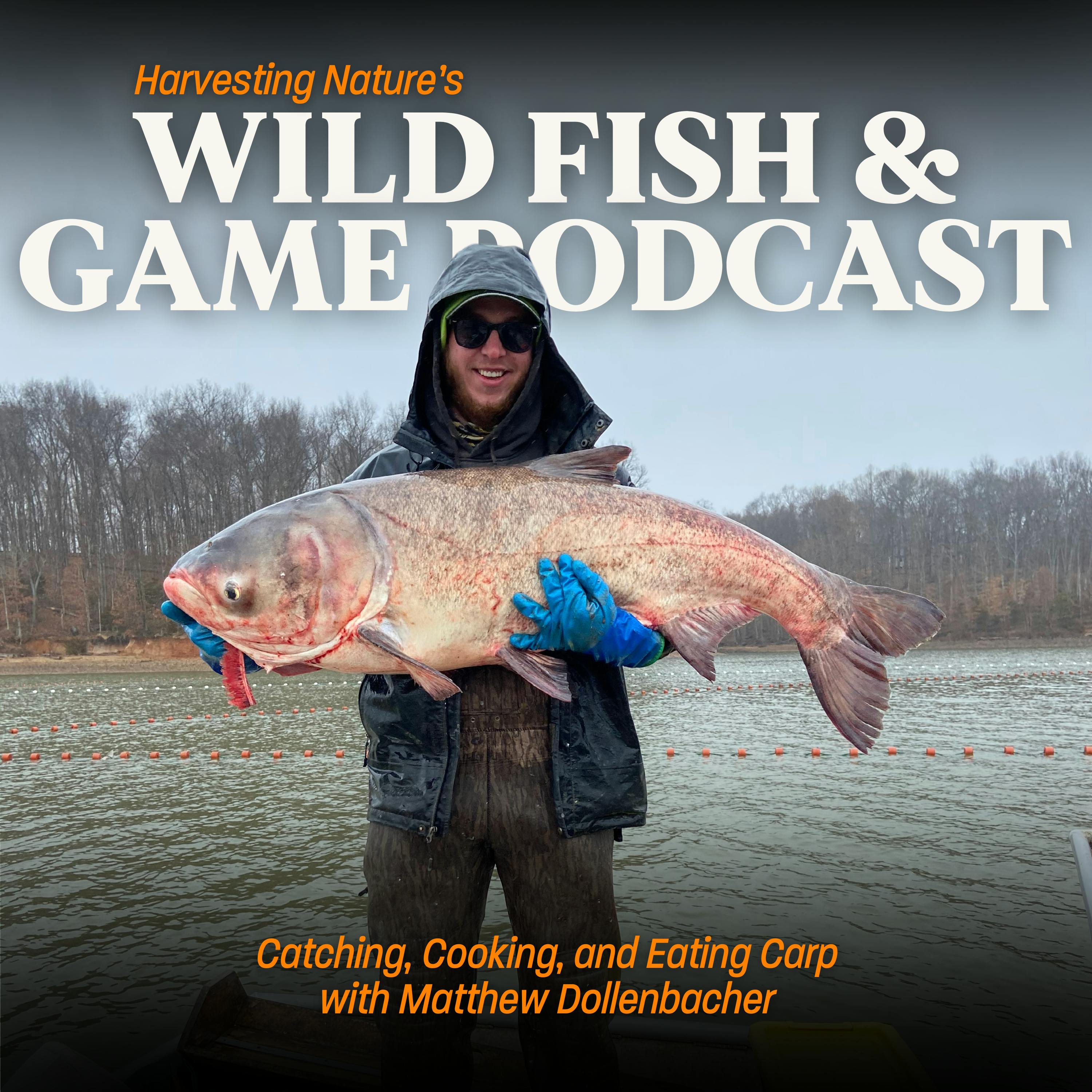 Episode 192: Catching, Cooking, and Eating Carp with Matthew Dollenbacher