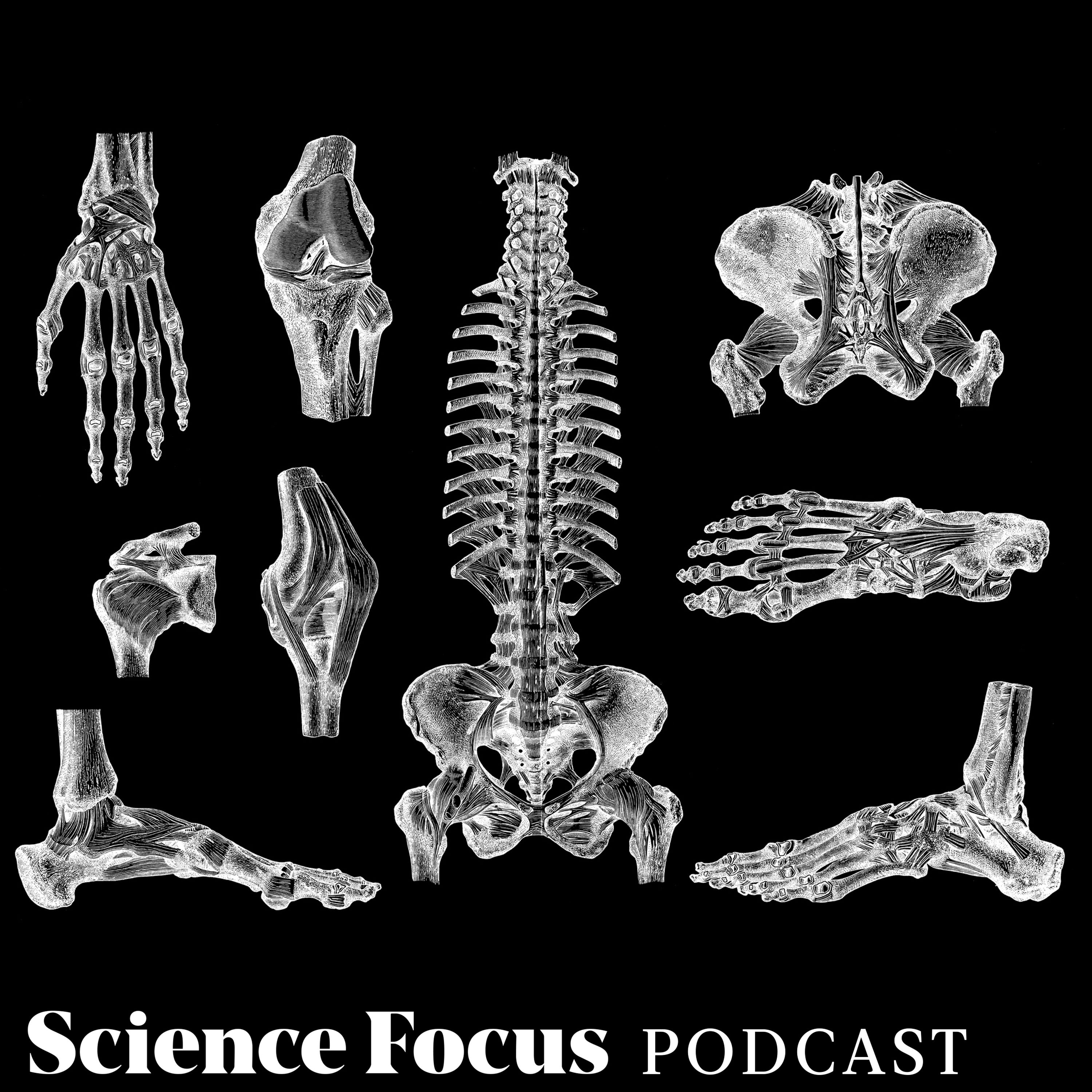 Sue Black: What stories do our skeletons tell?