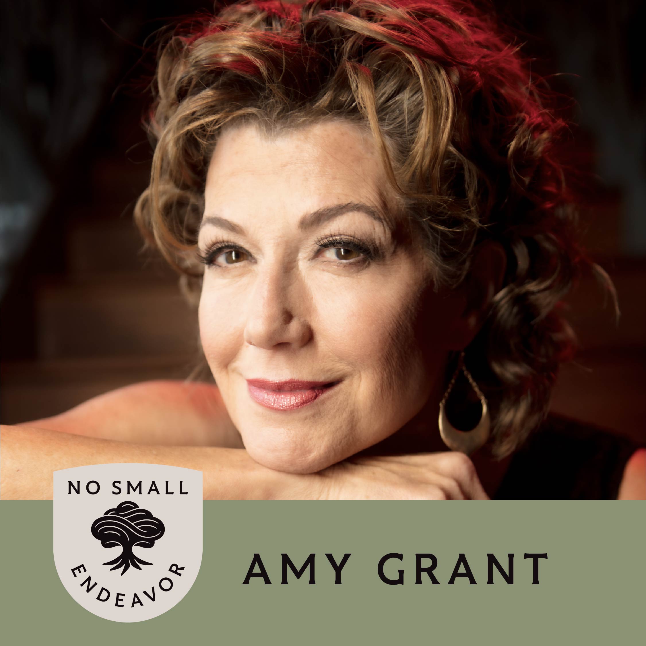 212: Amy Grant: Fame, Vulnerability, and Staying Grounded (Best of NSE)