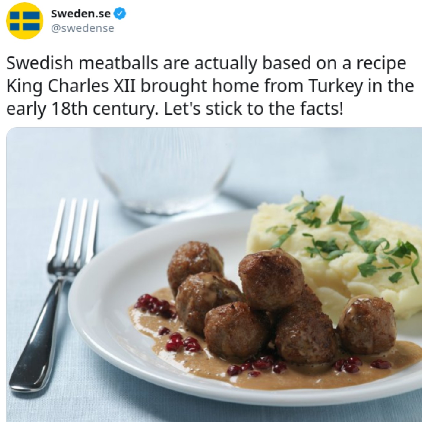 The Swedish Meatballs Controversy