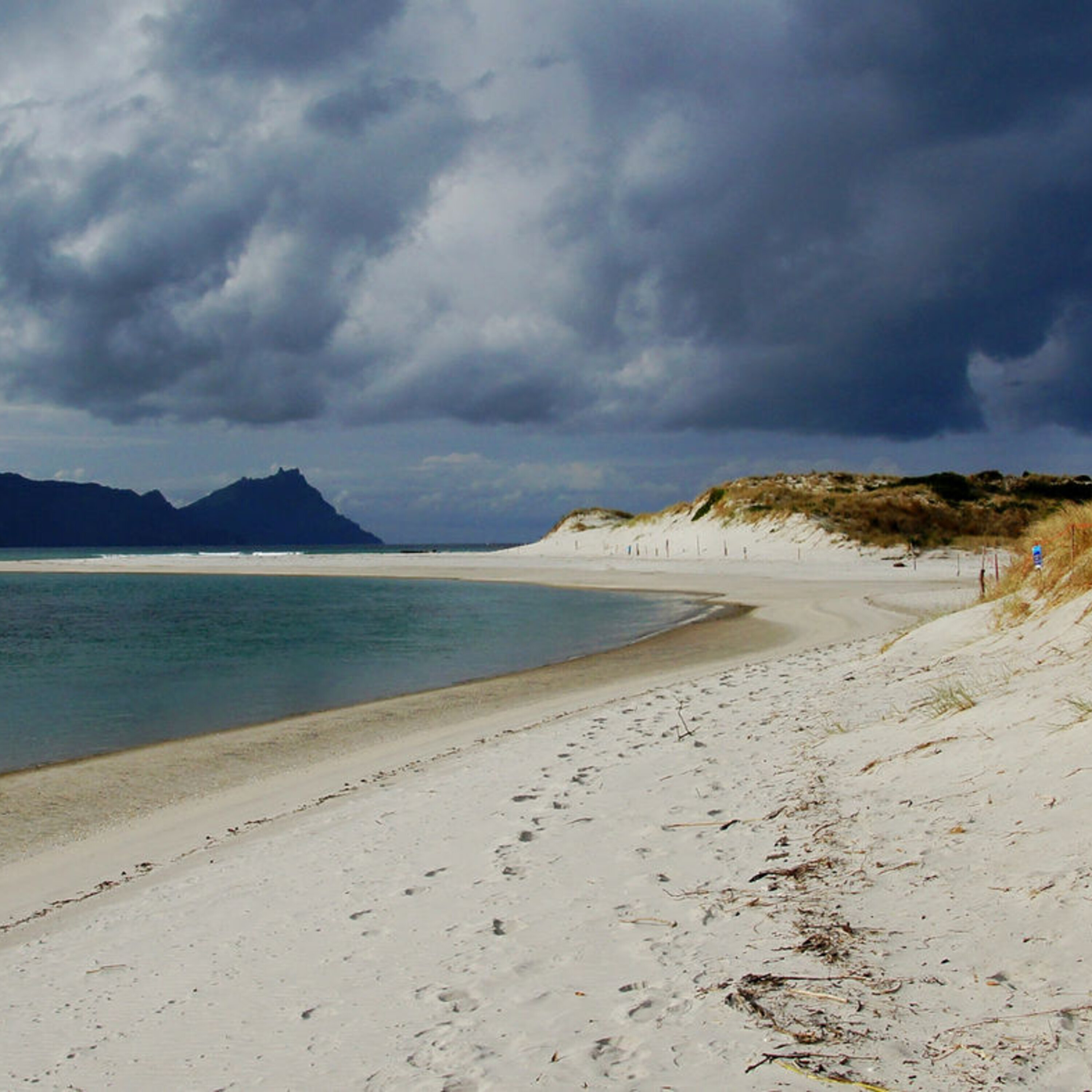 Where private research funders stow their cash and studying gun deaths in children