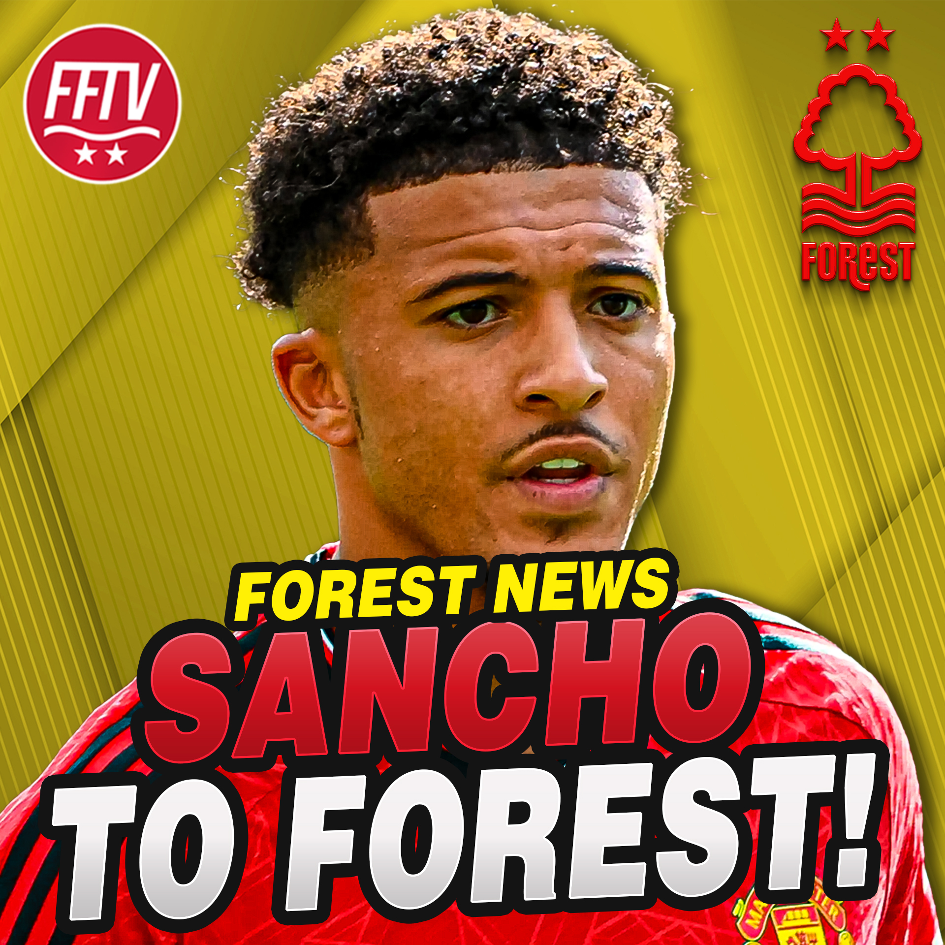 Forest Fan TV - A Nottingham Forest Podcast