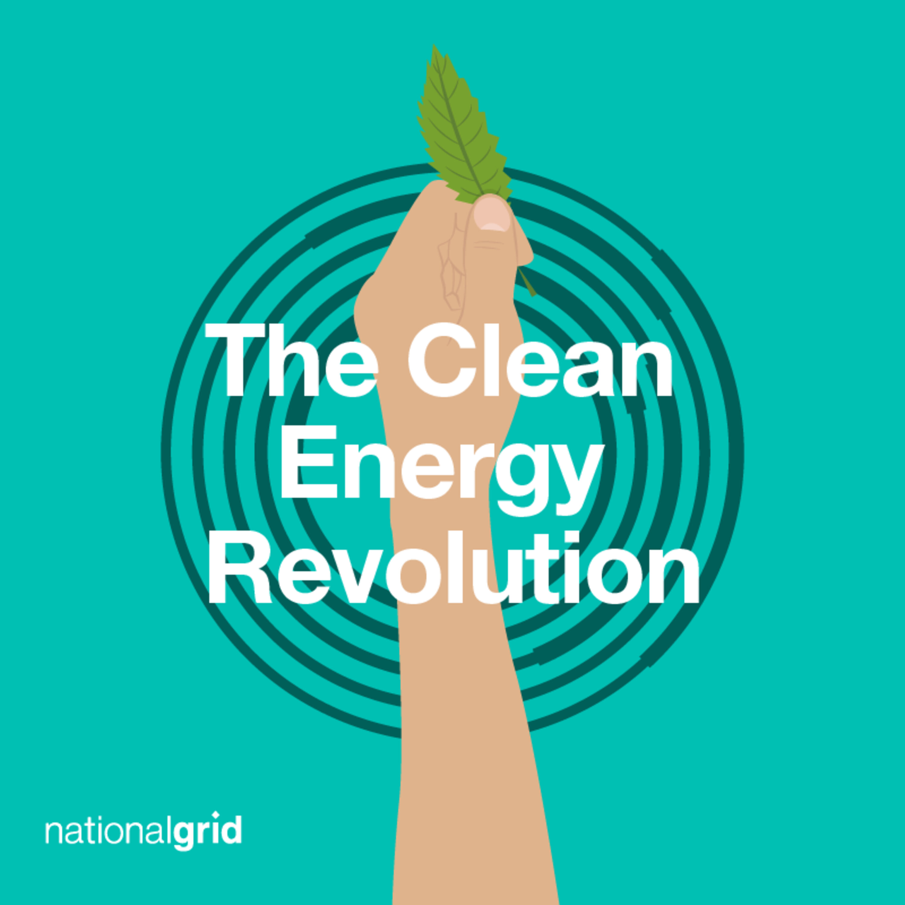 A Revolution At Our Fingertips: How Renewable Energy Can Be Fair, Safe And Affordable episode artwork