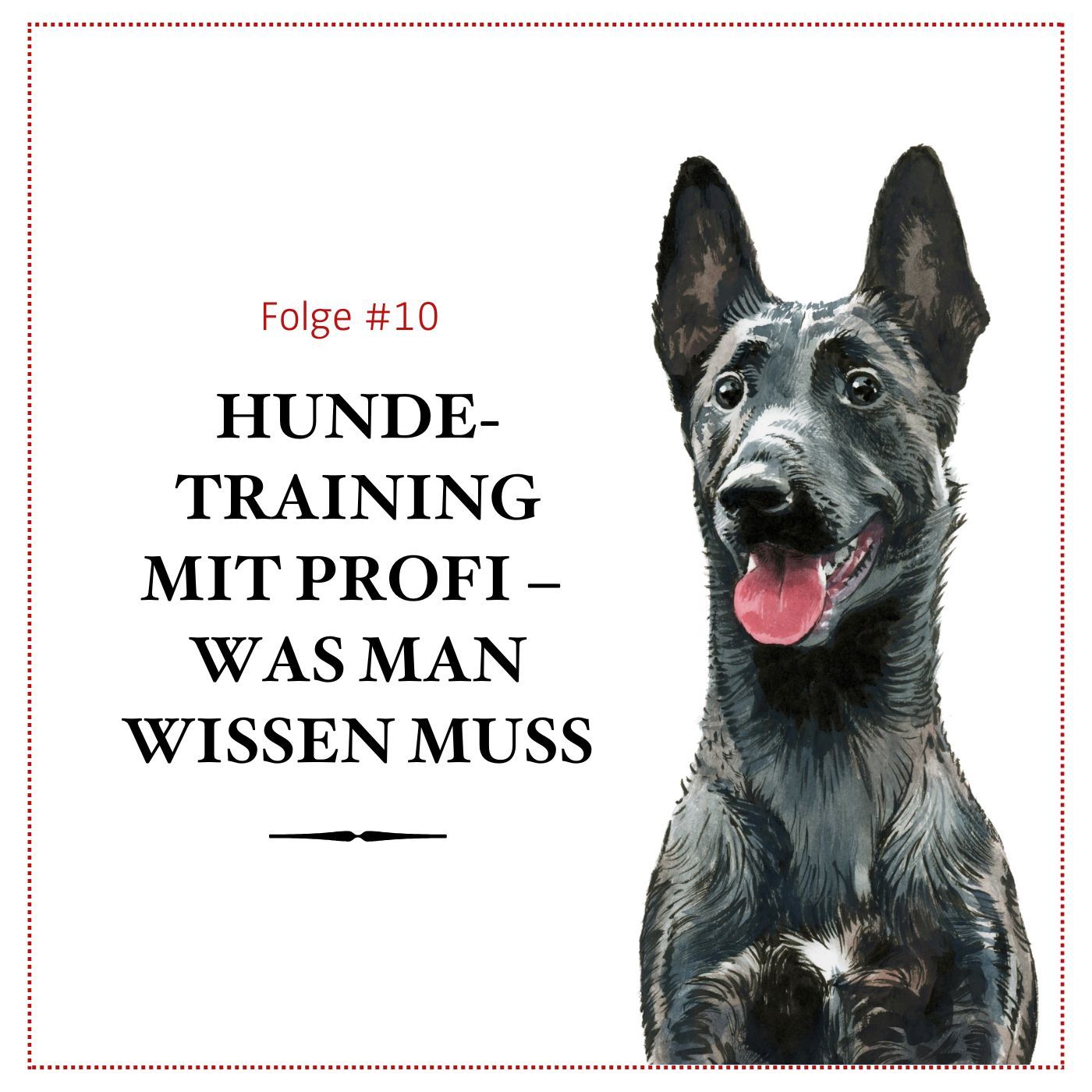 Hundetraining: Wann zum Profi? -#10 episode artwork