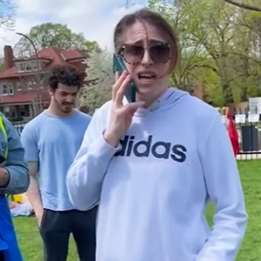 Karens vs. Student Protestors