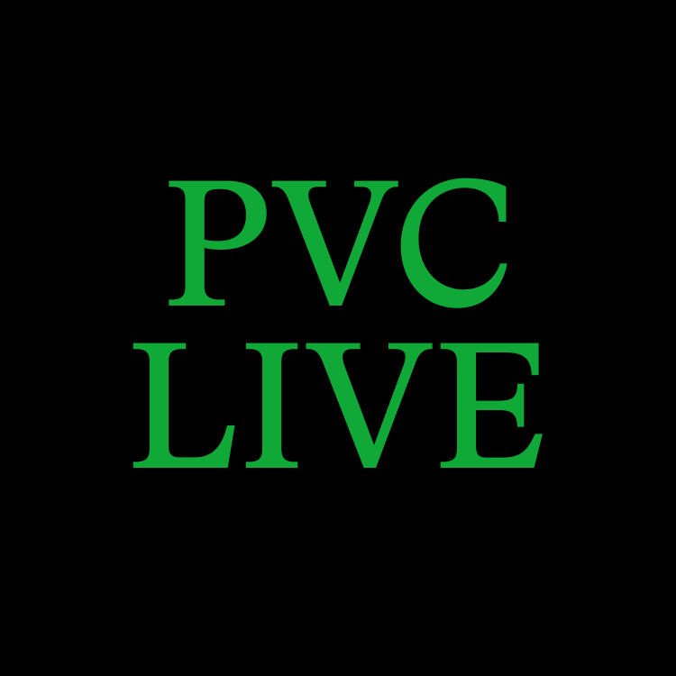 PVC LIVE da Fermento in Villa (@Bologna): "Moa Anbessa" di  The Ex & Getatchew Mekuria & "NEVER ENOUGH" di Turnstile