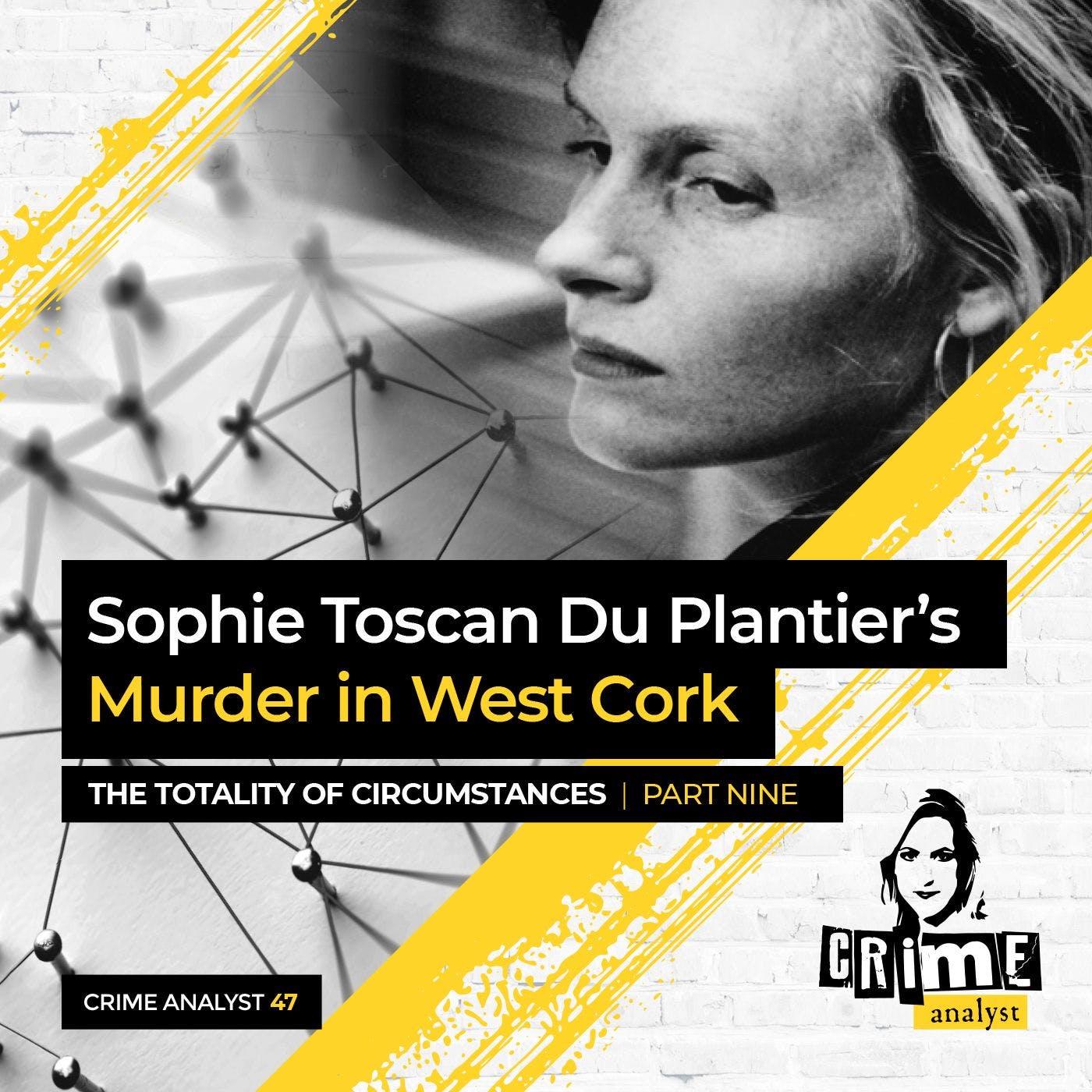 Sophie Toscan Du Plantier’s Murder in West Cork: The Totality of Circumstances Ctd. Part 9