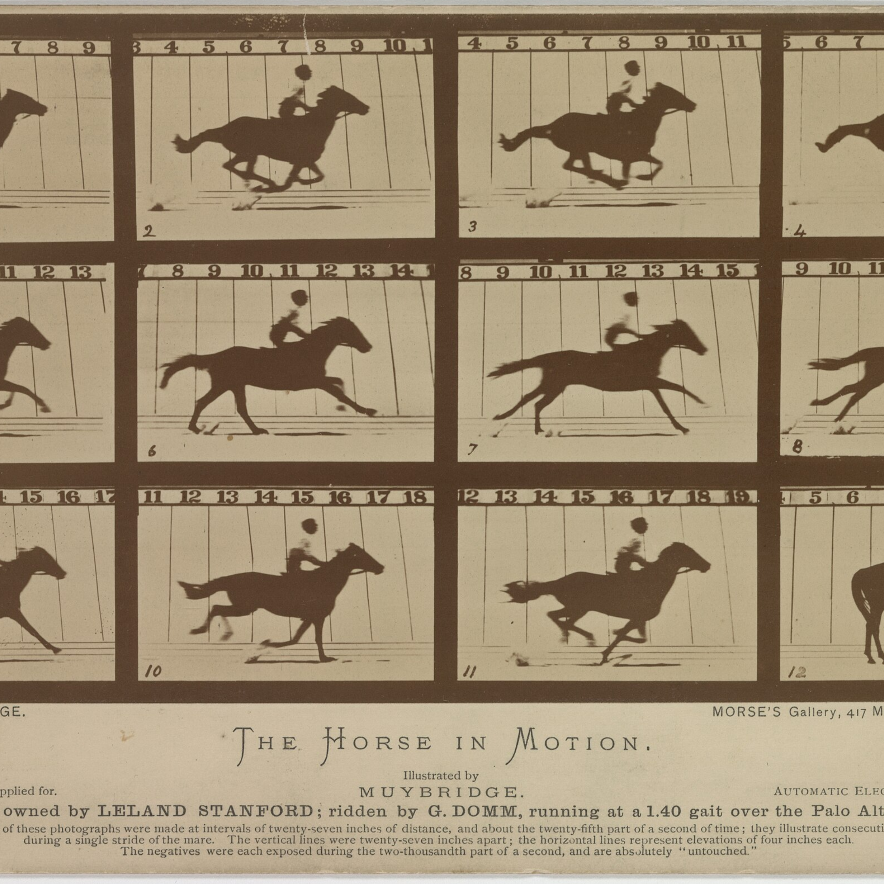 Eadweard Muybridge | The Horse in Motion