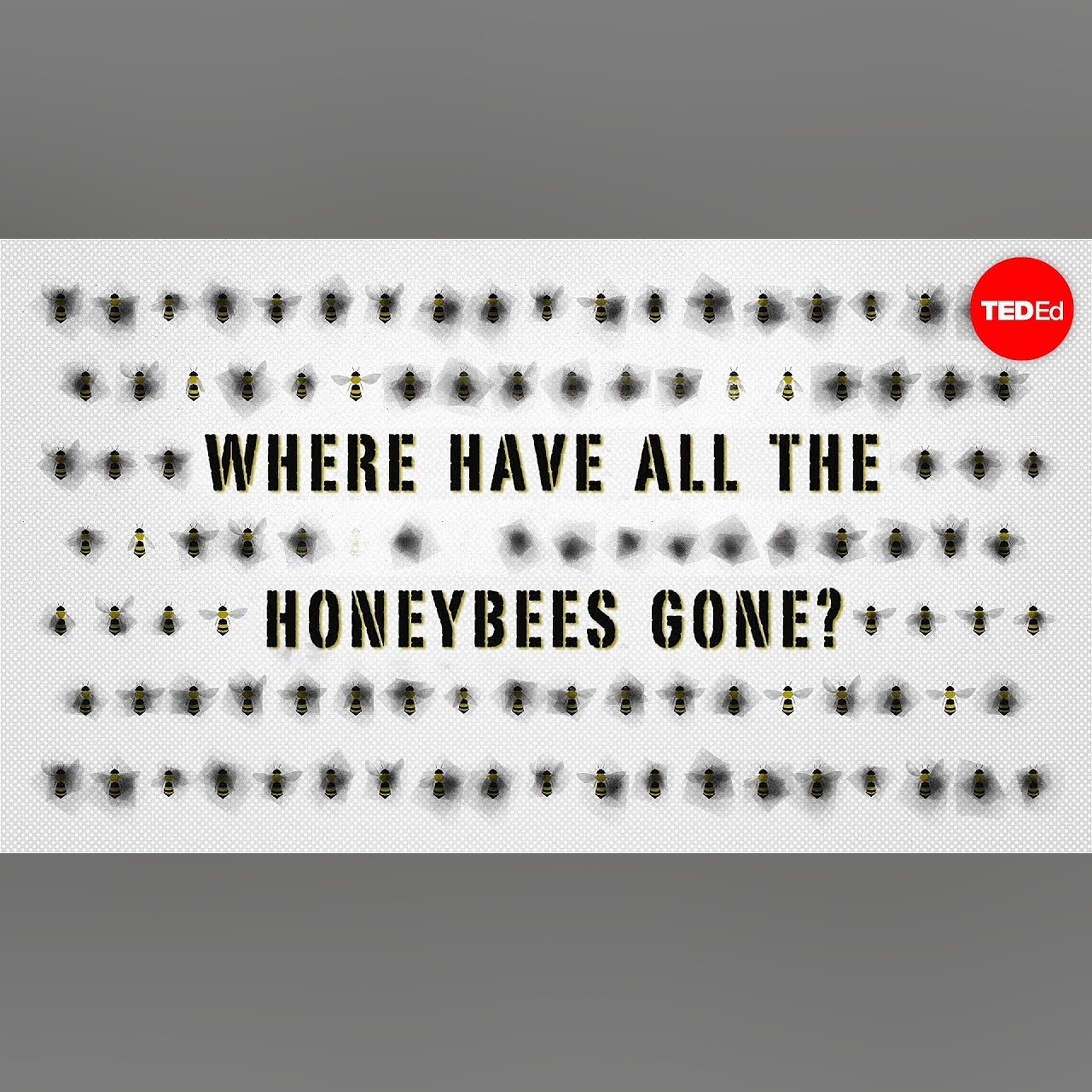 The case of the vanishing honeybees - Emma Bryce