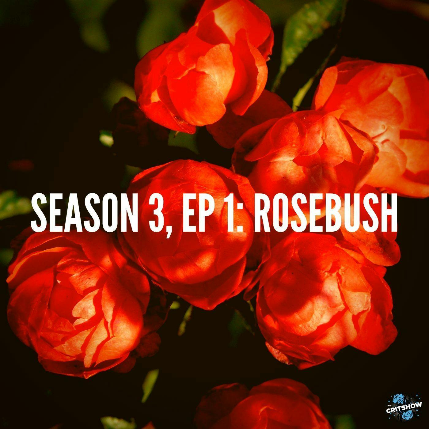 Rosebush (S3, E1)