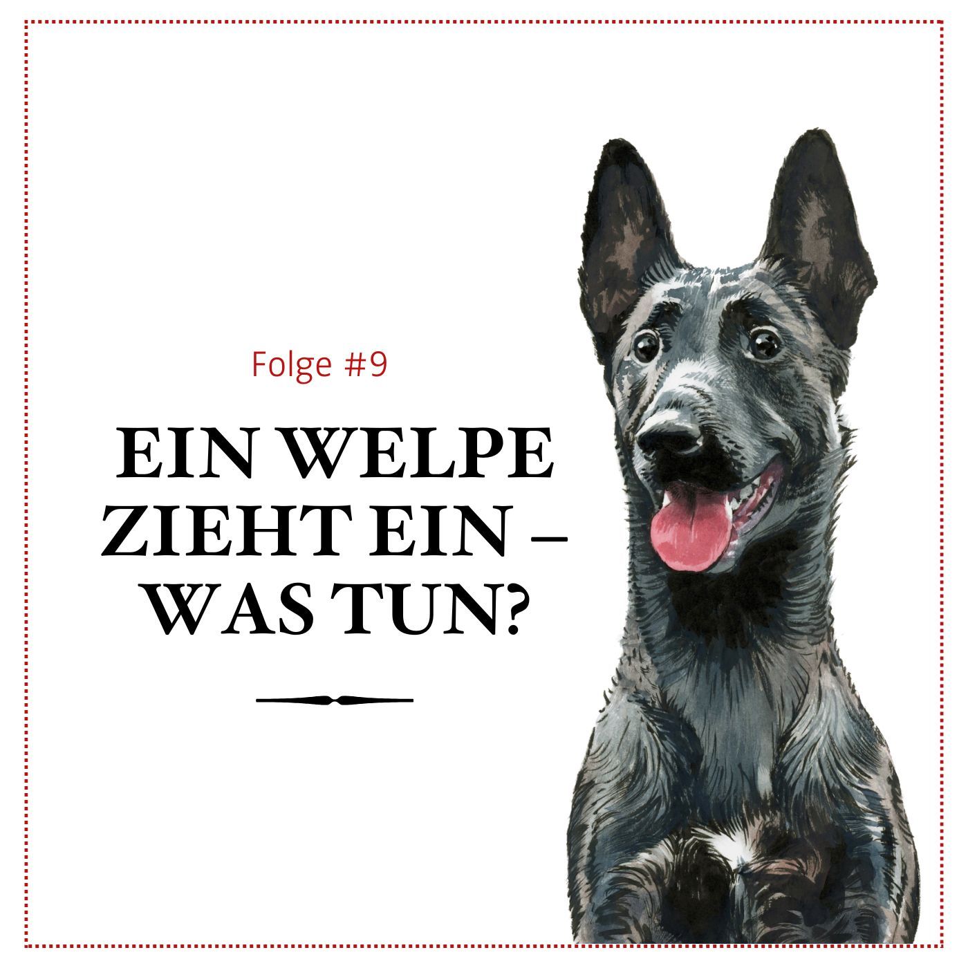 Ein Welpe zieht ein – was tun? – #09 episode artwork